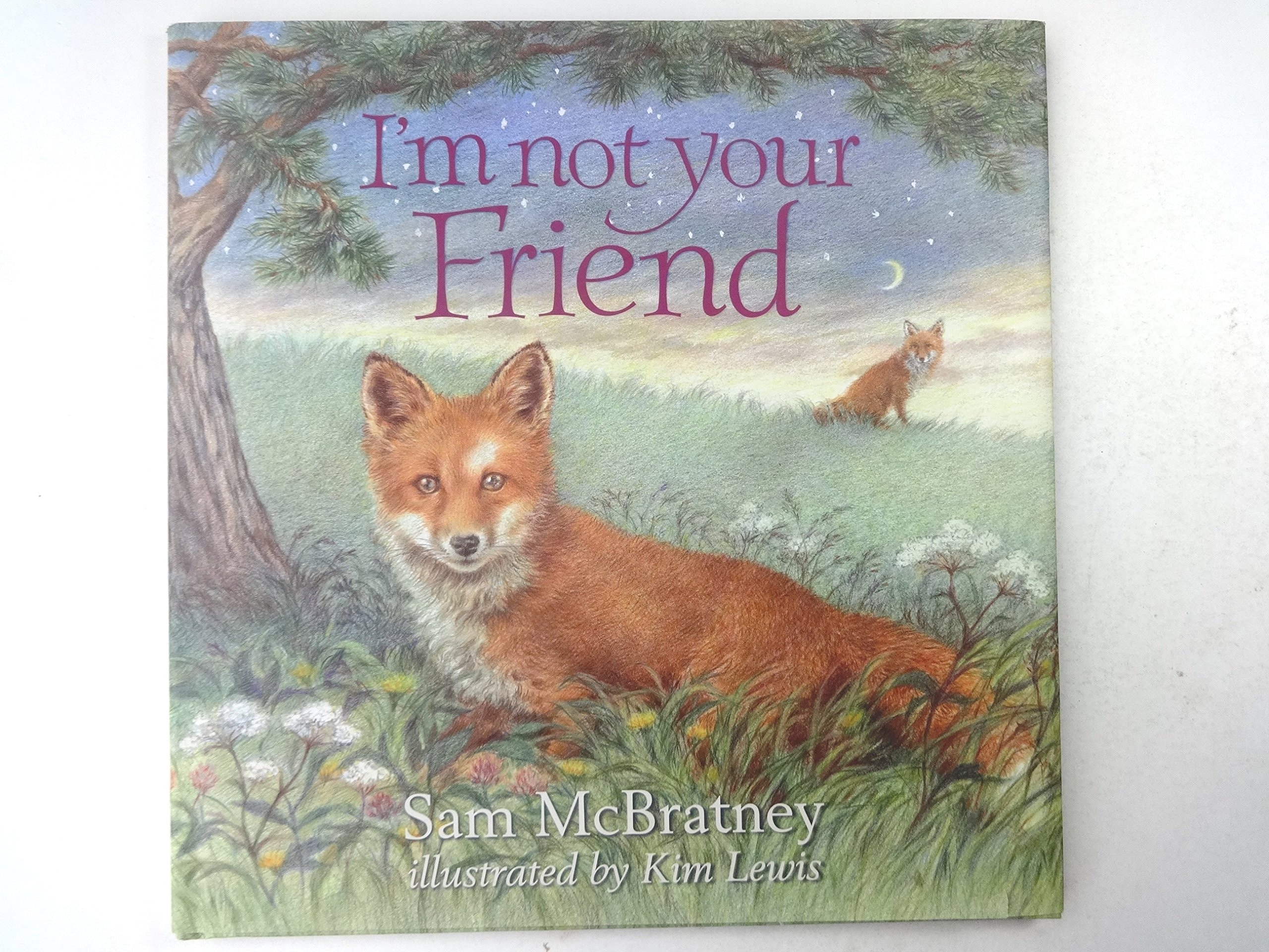 I'm Not Your Friend