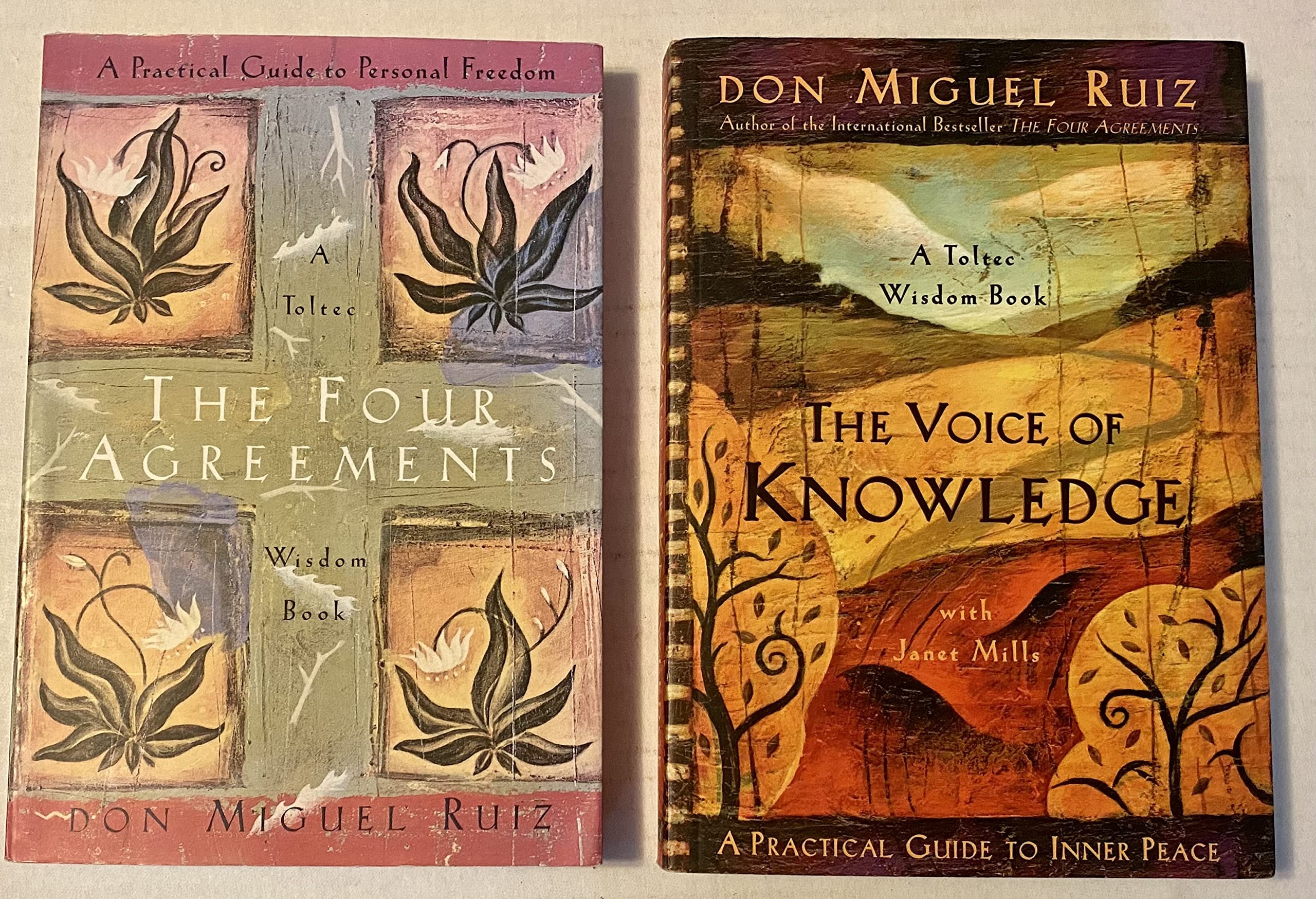 2 Books! 1) The Four Agreements 2) The Voice of Knowledge