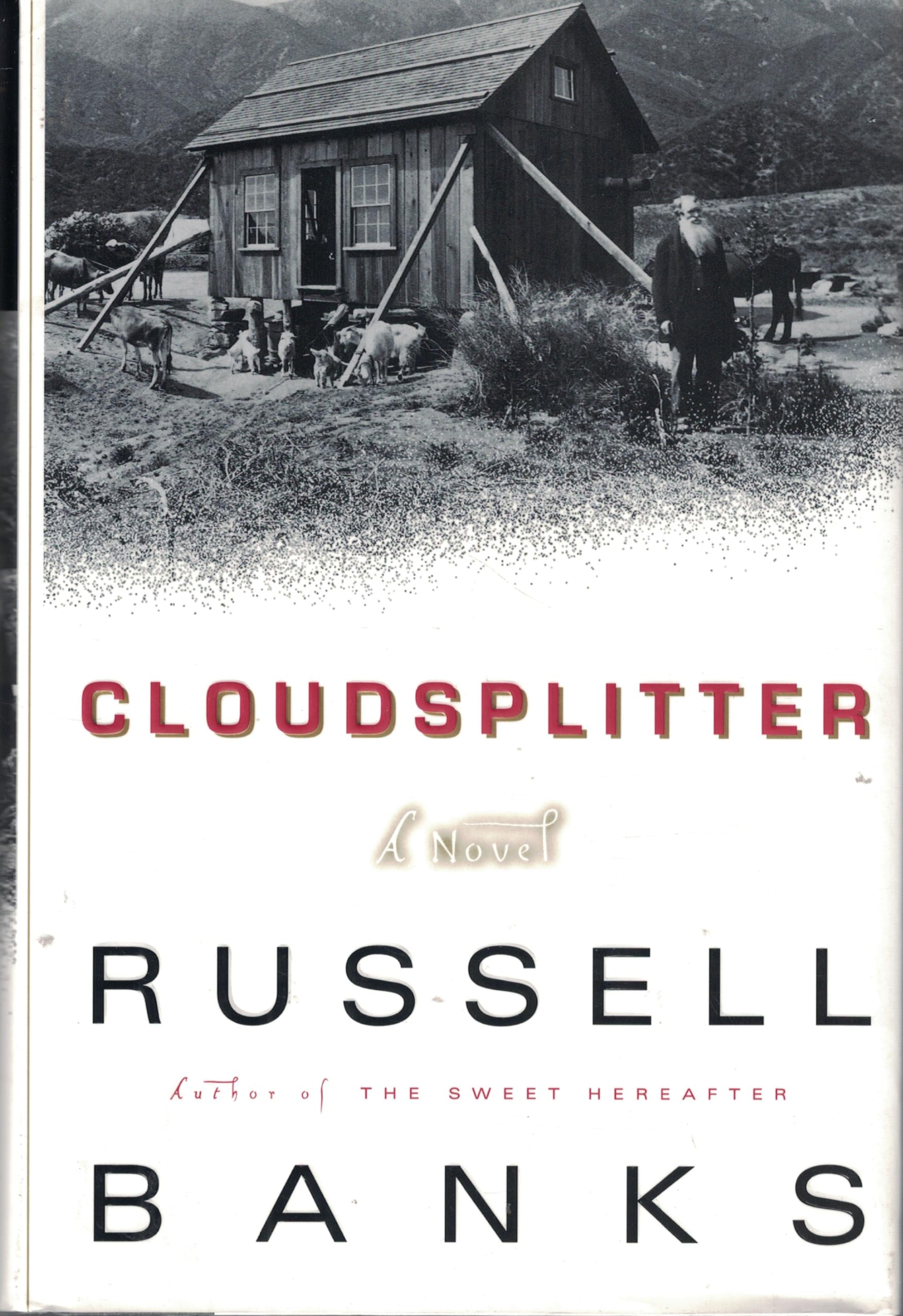 Cloudsplitter A Novel