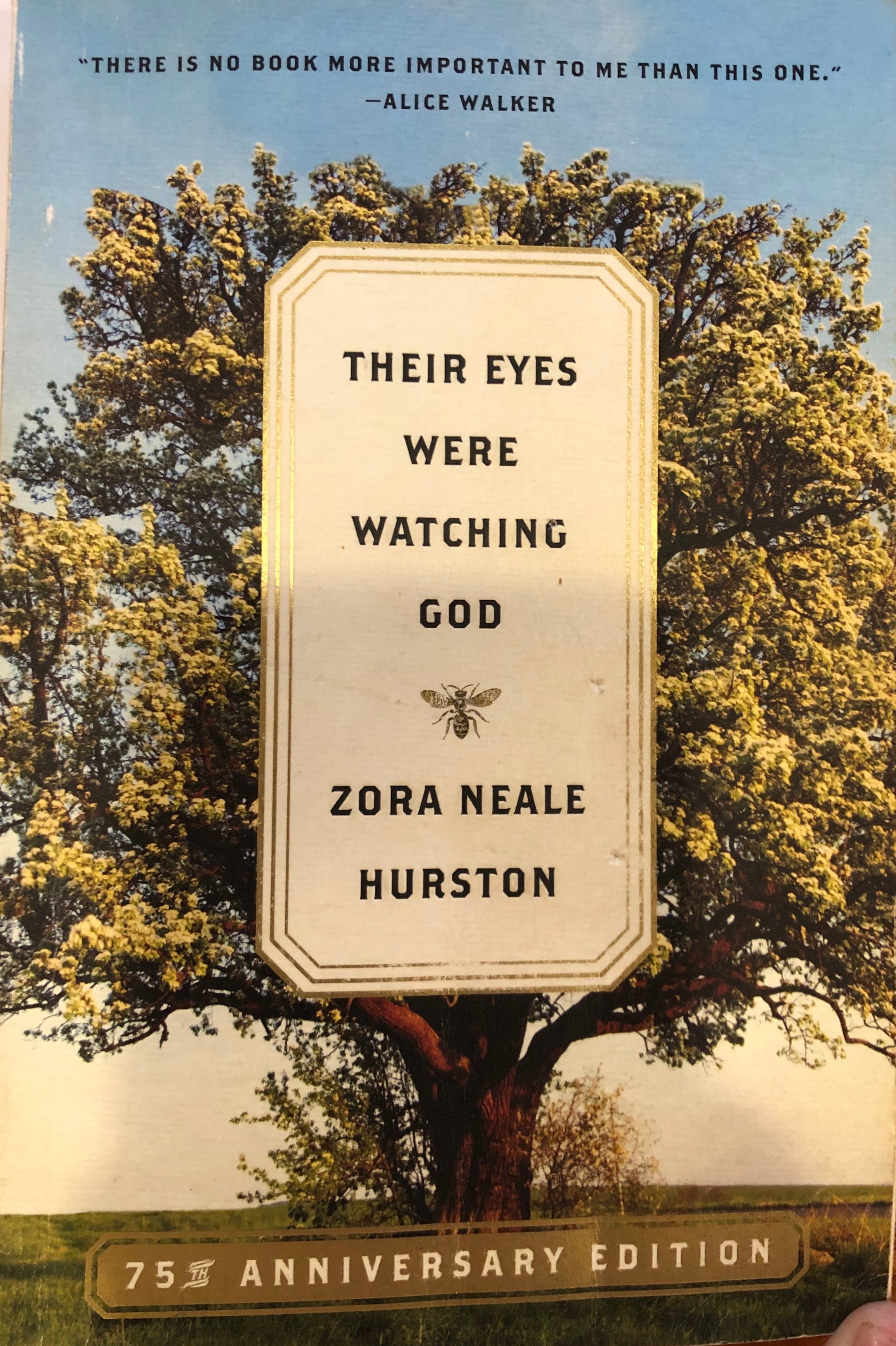Their Eyes Were Watching God