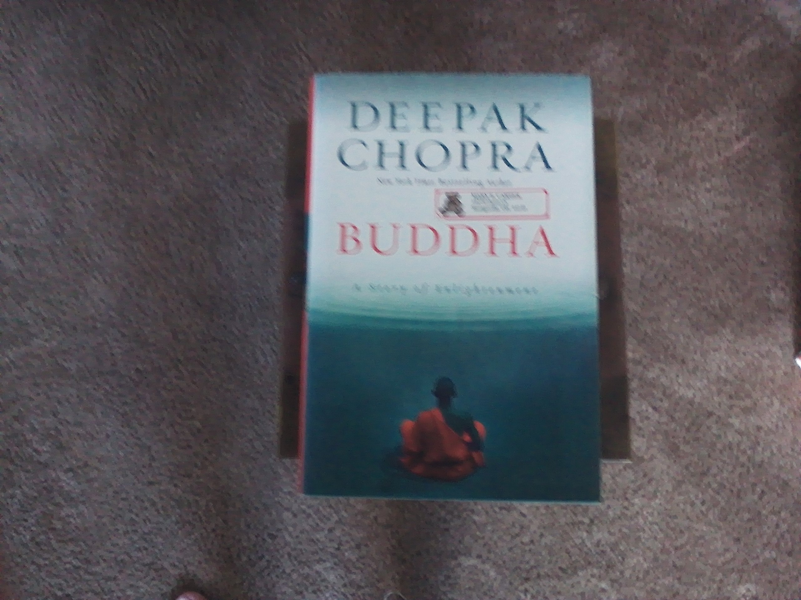 Buddha: A Story of Enlightenment