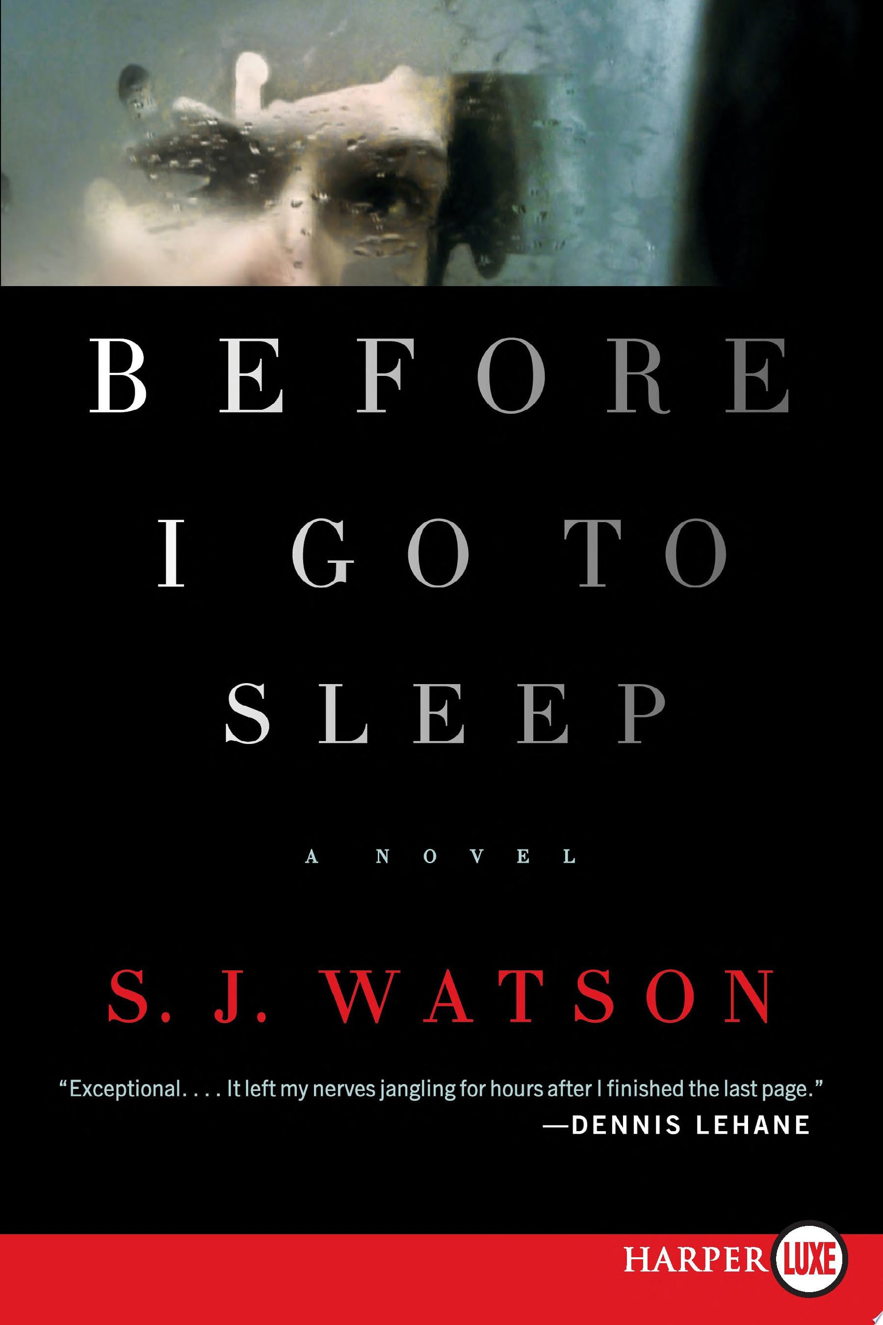 Before I Go To Sleep LP A Novel