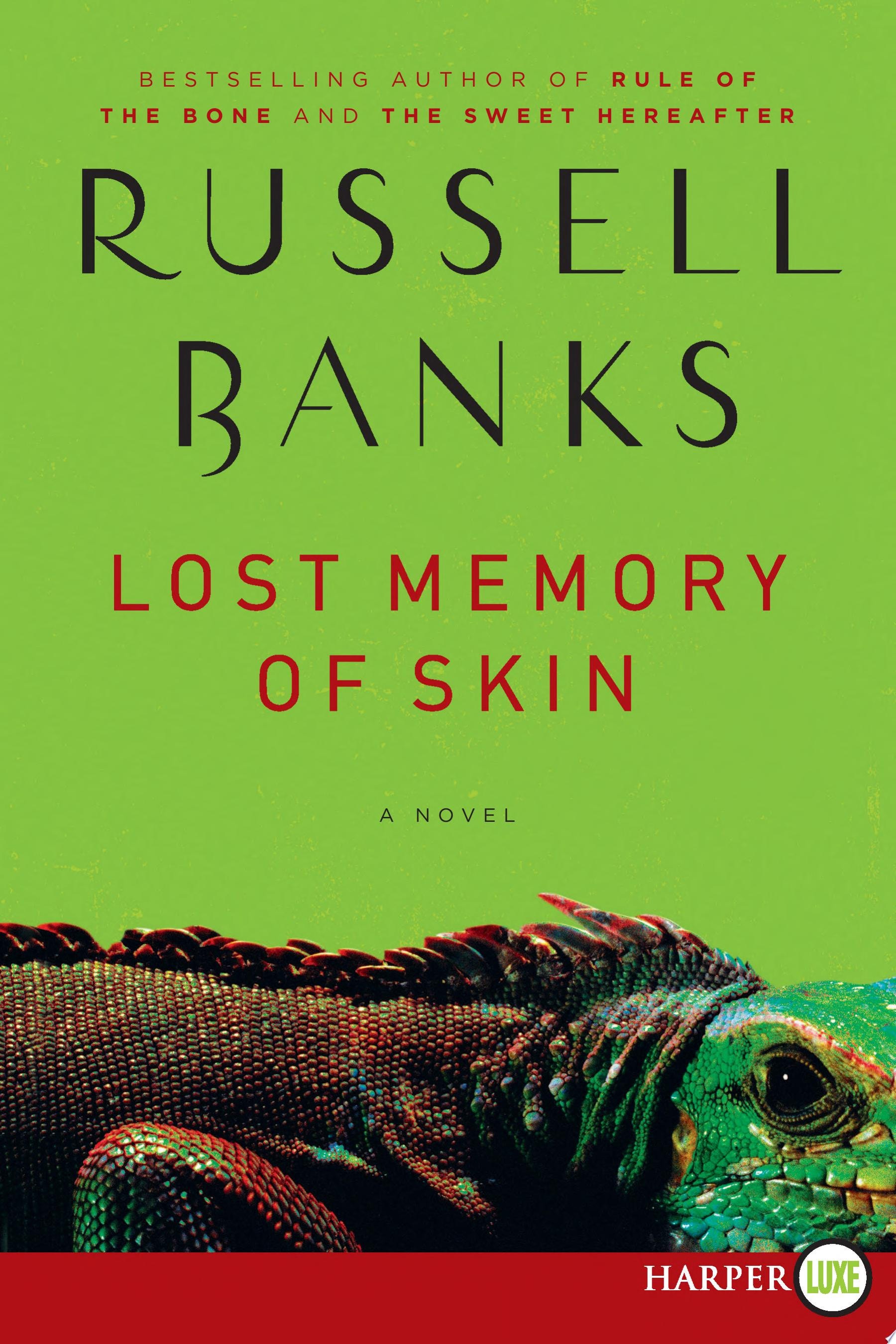 Lost Memory of Skin LP A Novel