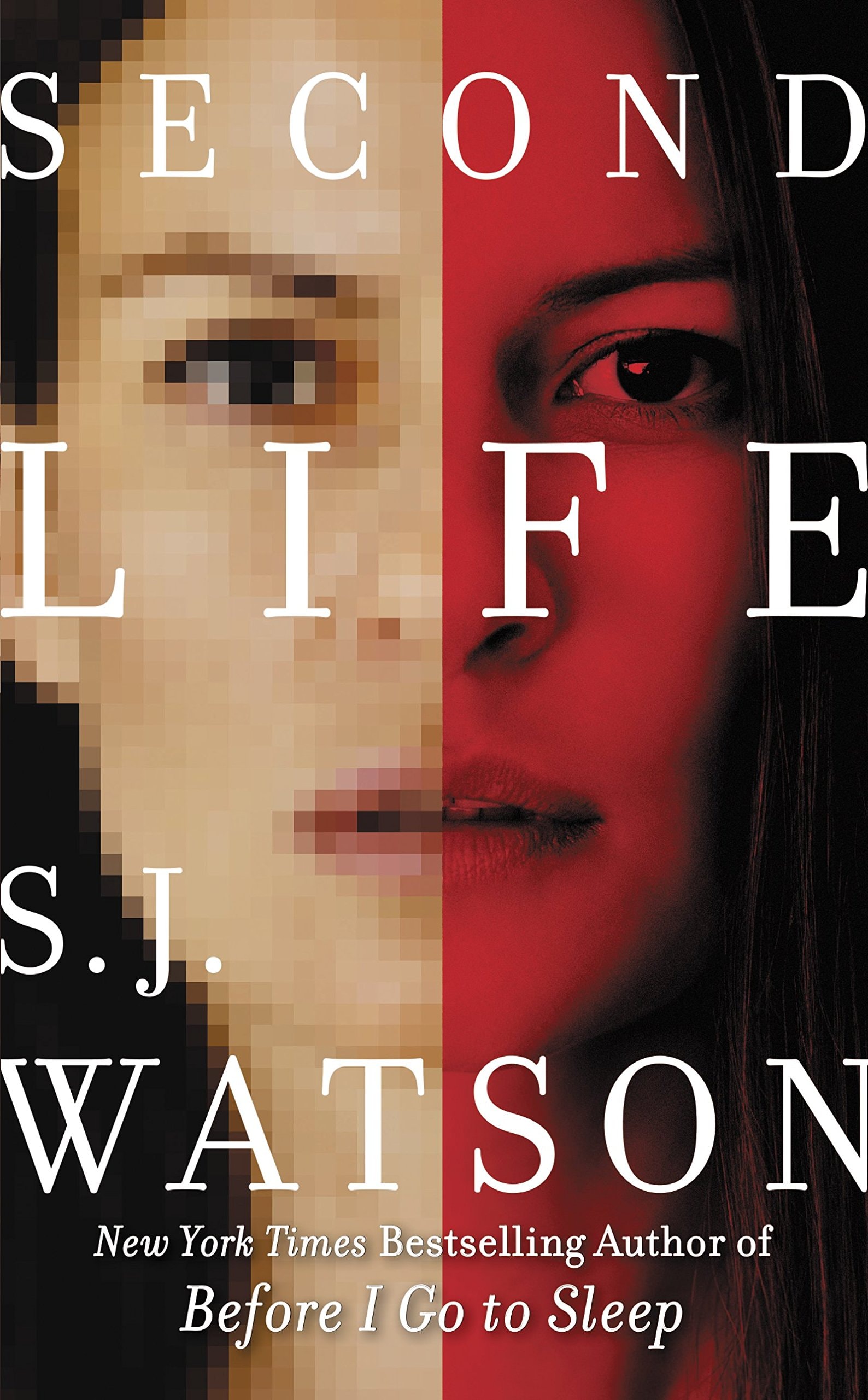 Second Life A Novel