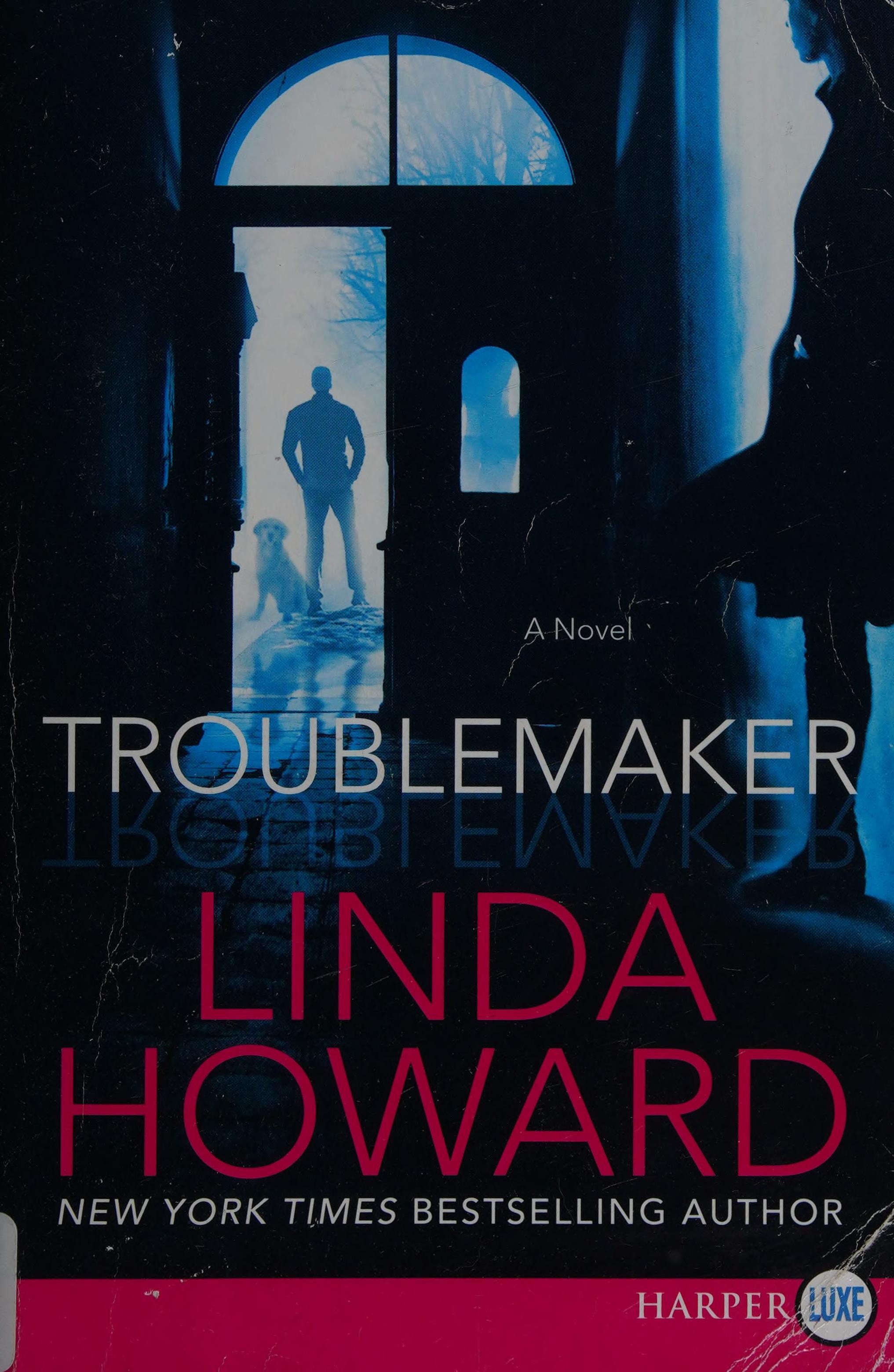 Troublemaker