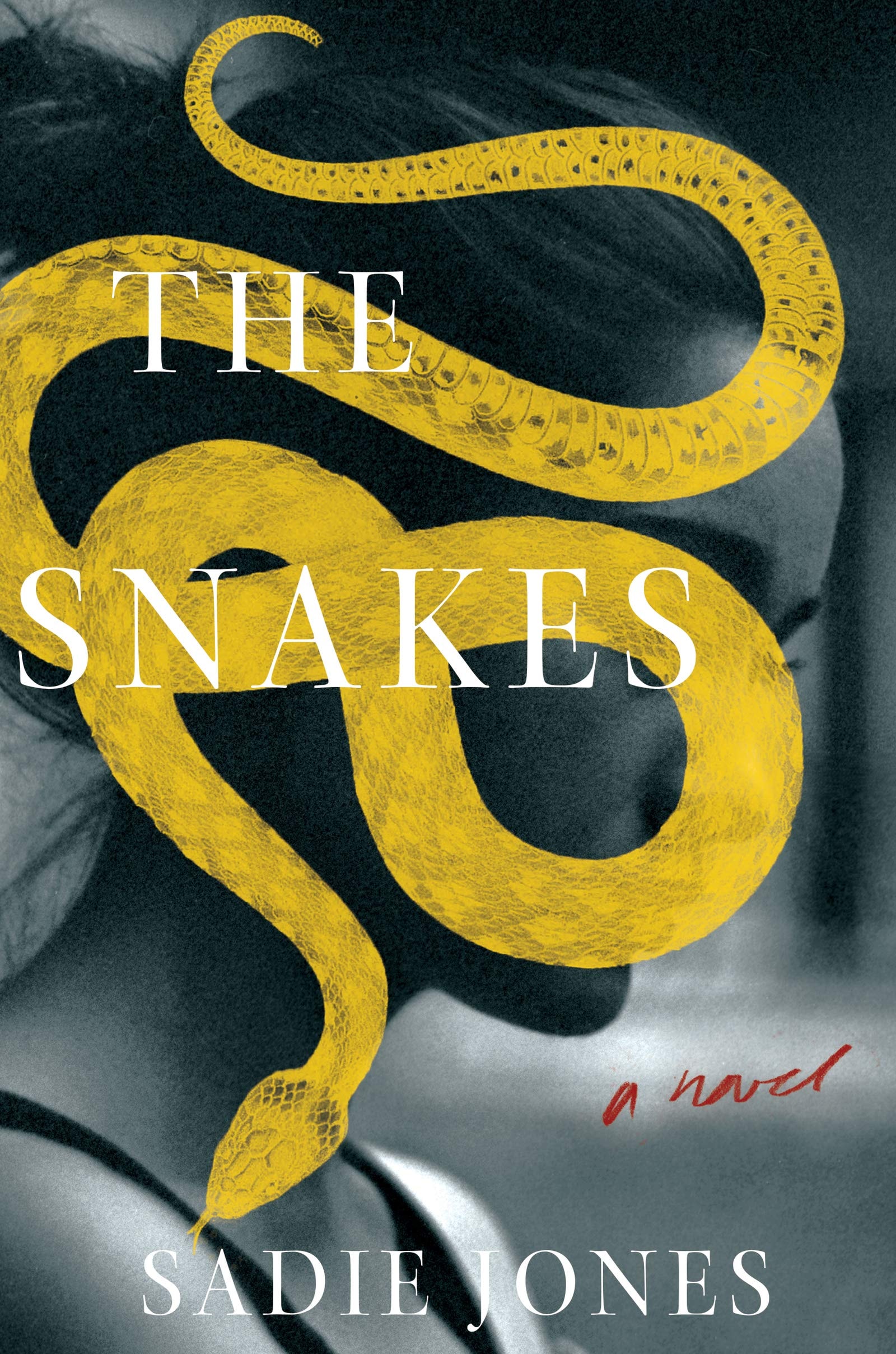 The Snakes A Novel
