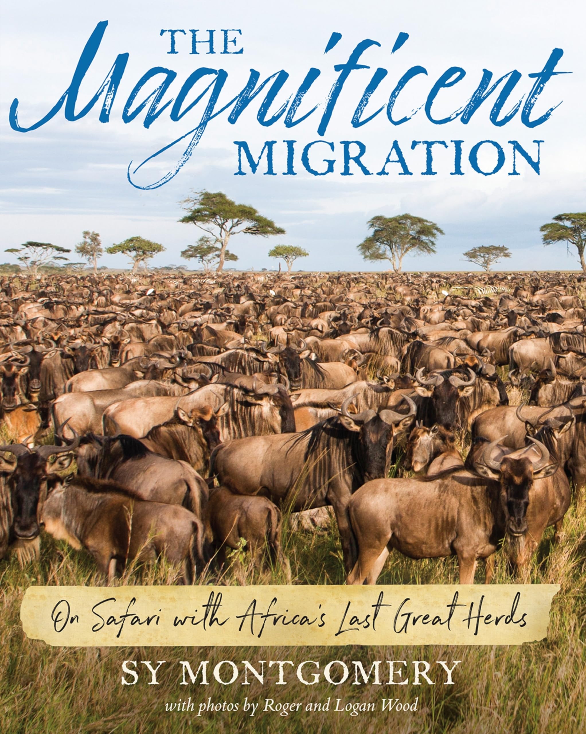 Magnificent Migration On Safari with Africa's Last Great Herds