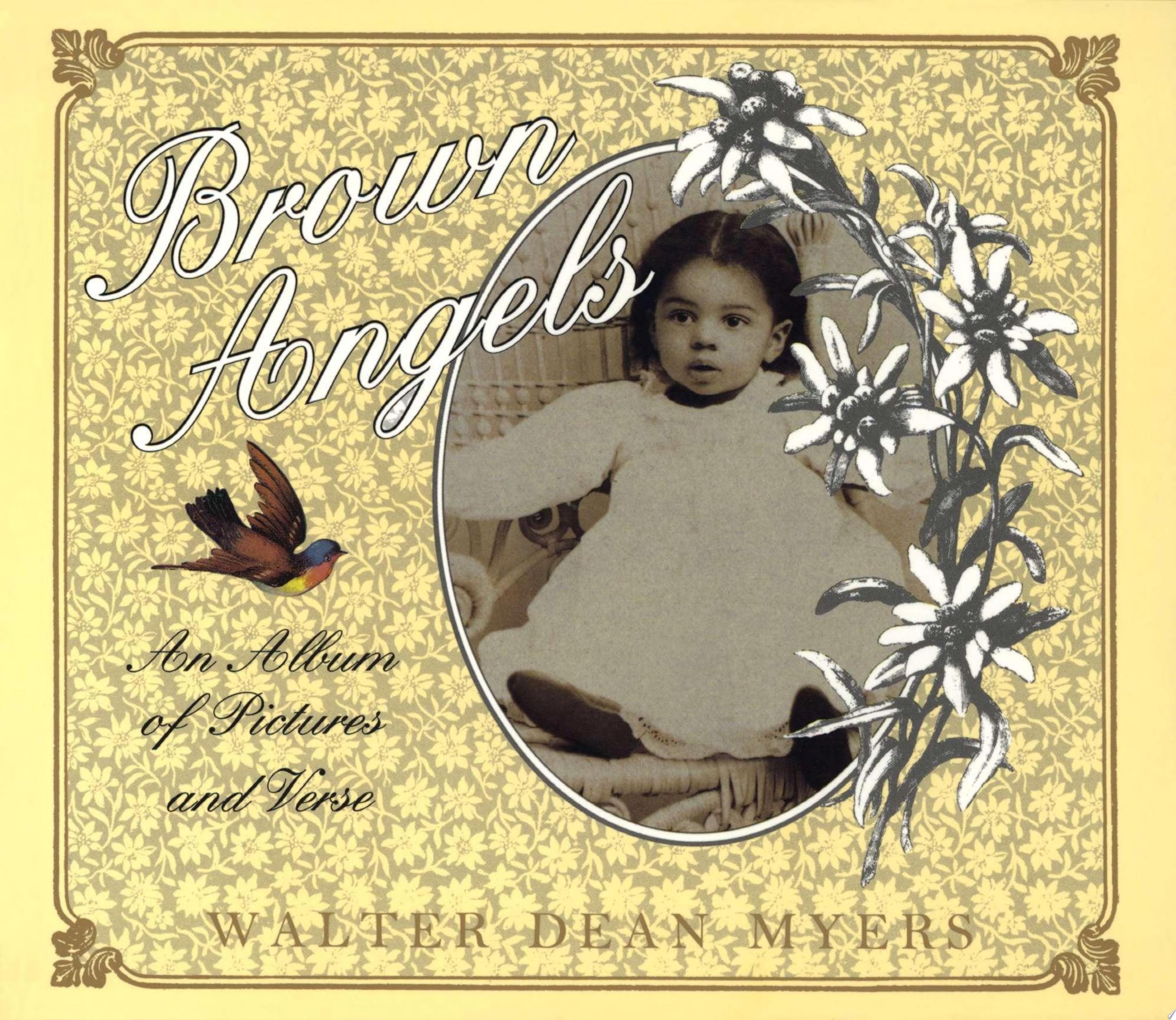 Brown Angels An Album of Pictures and Verse