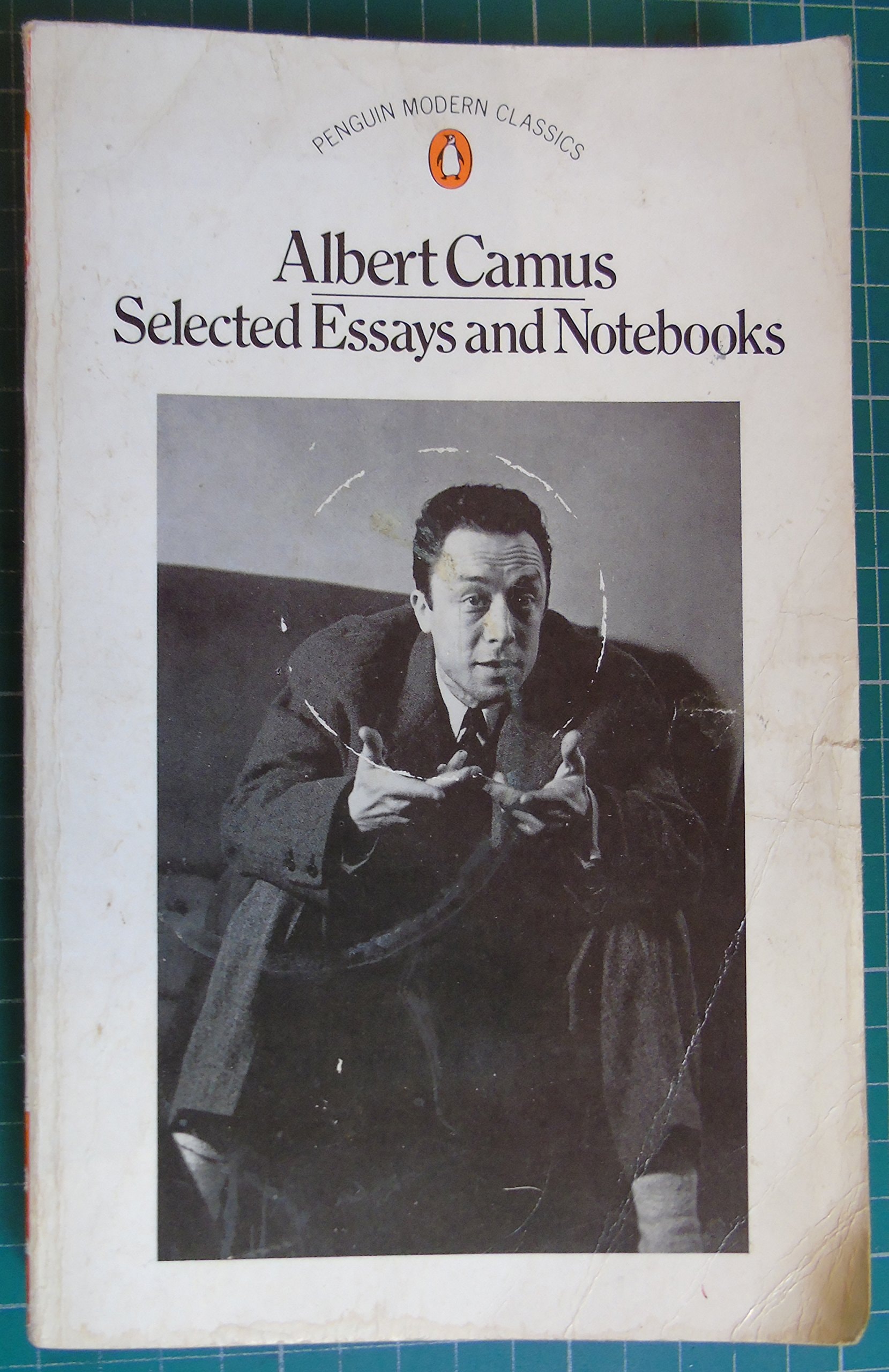 Selected Essays and Notebooks
