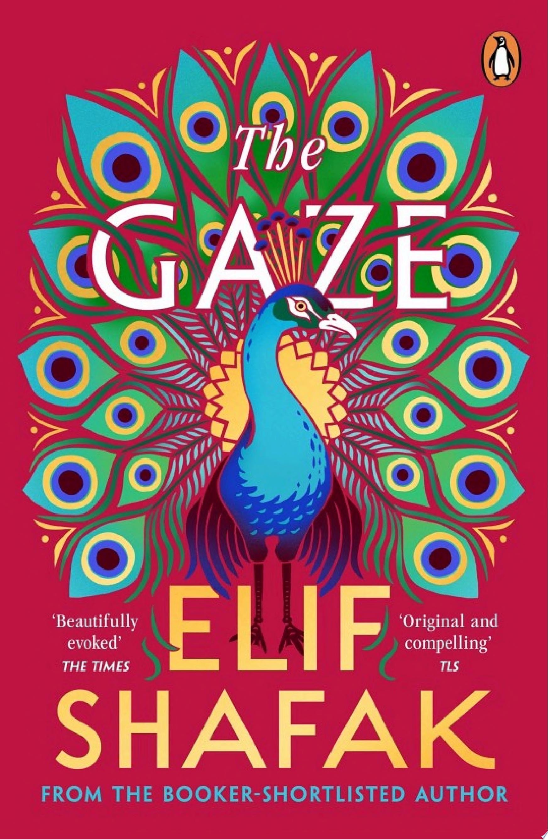 The Gaze The daringly funny historical novel from the bestselling author of There Are Rivers in the Sky