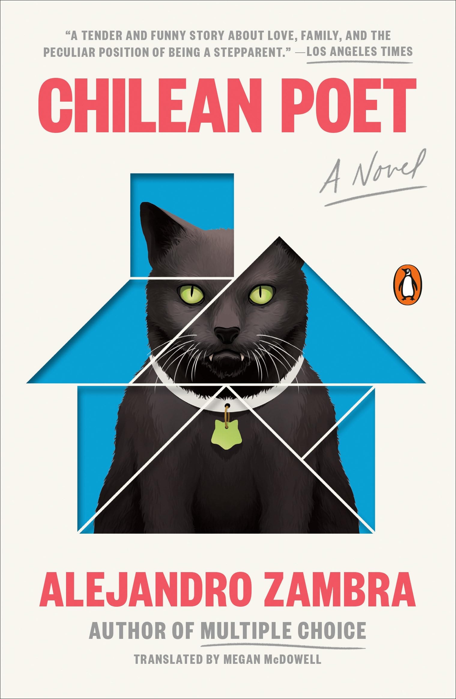 Chilean Poet A Novel