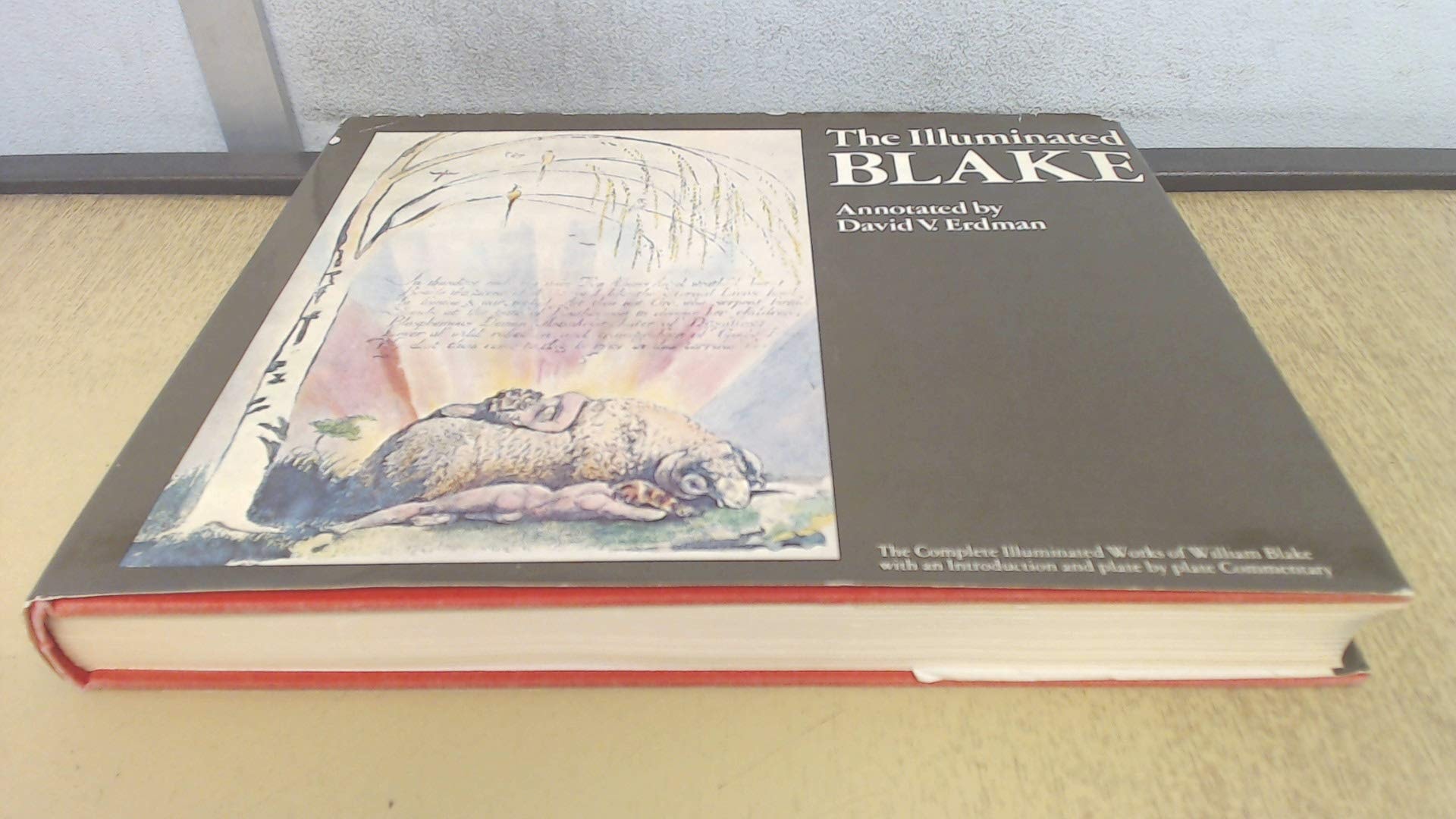 The Illuminated Blake (Oxford Paperbacks)