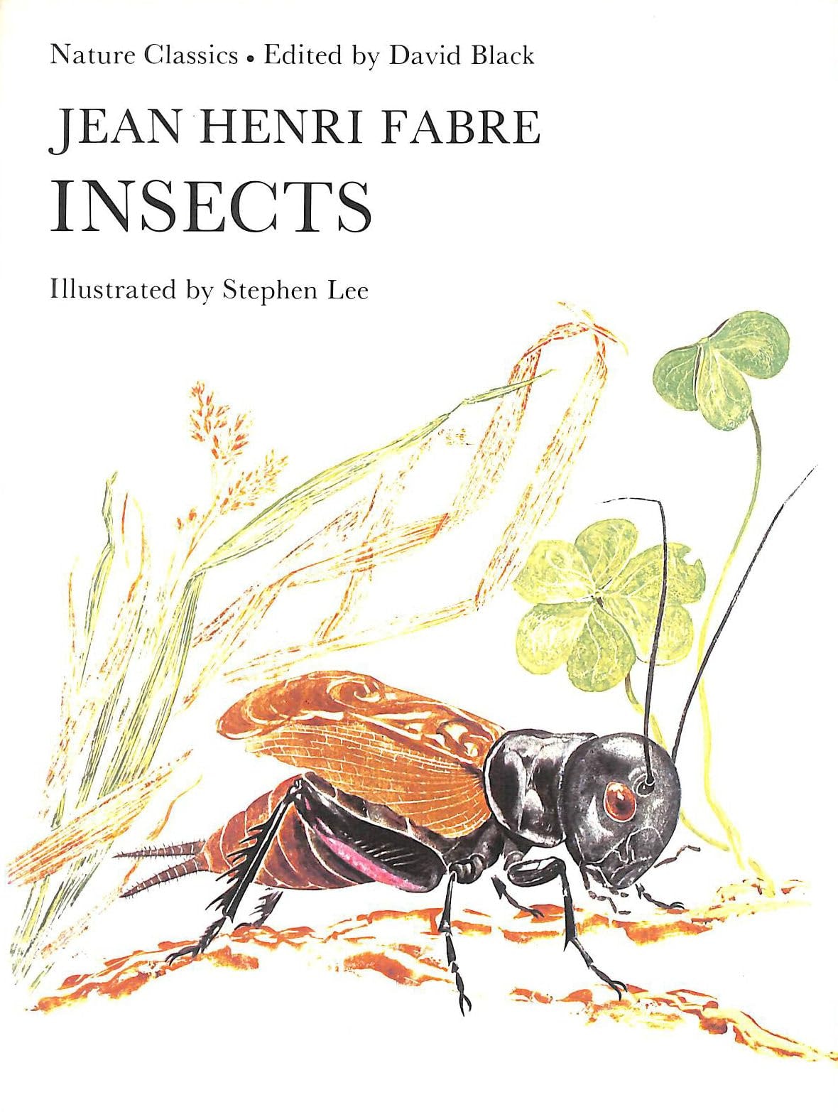 Insects