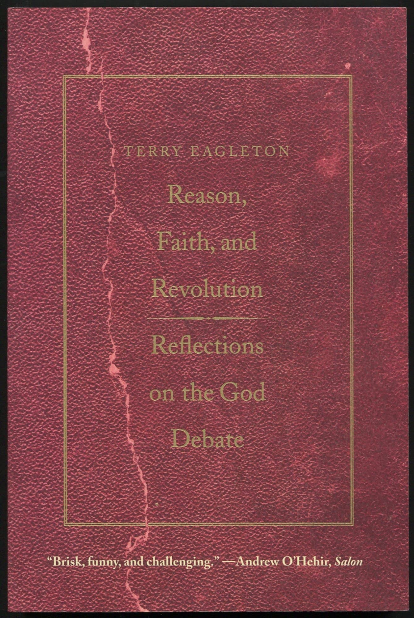 Reason, Faith, & Revolution Reflections on the God Debate