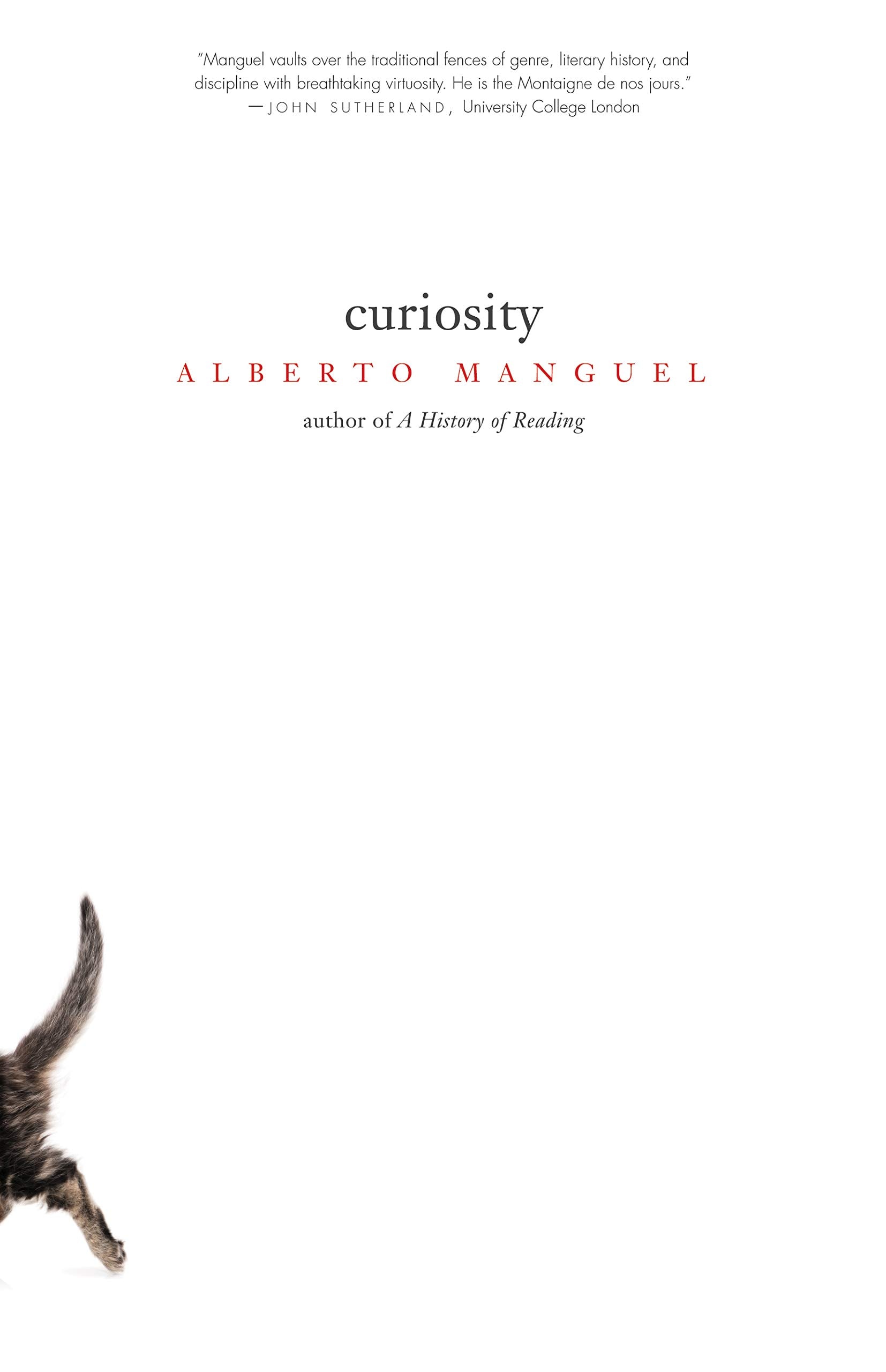 Curiosity