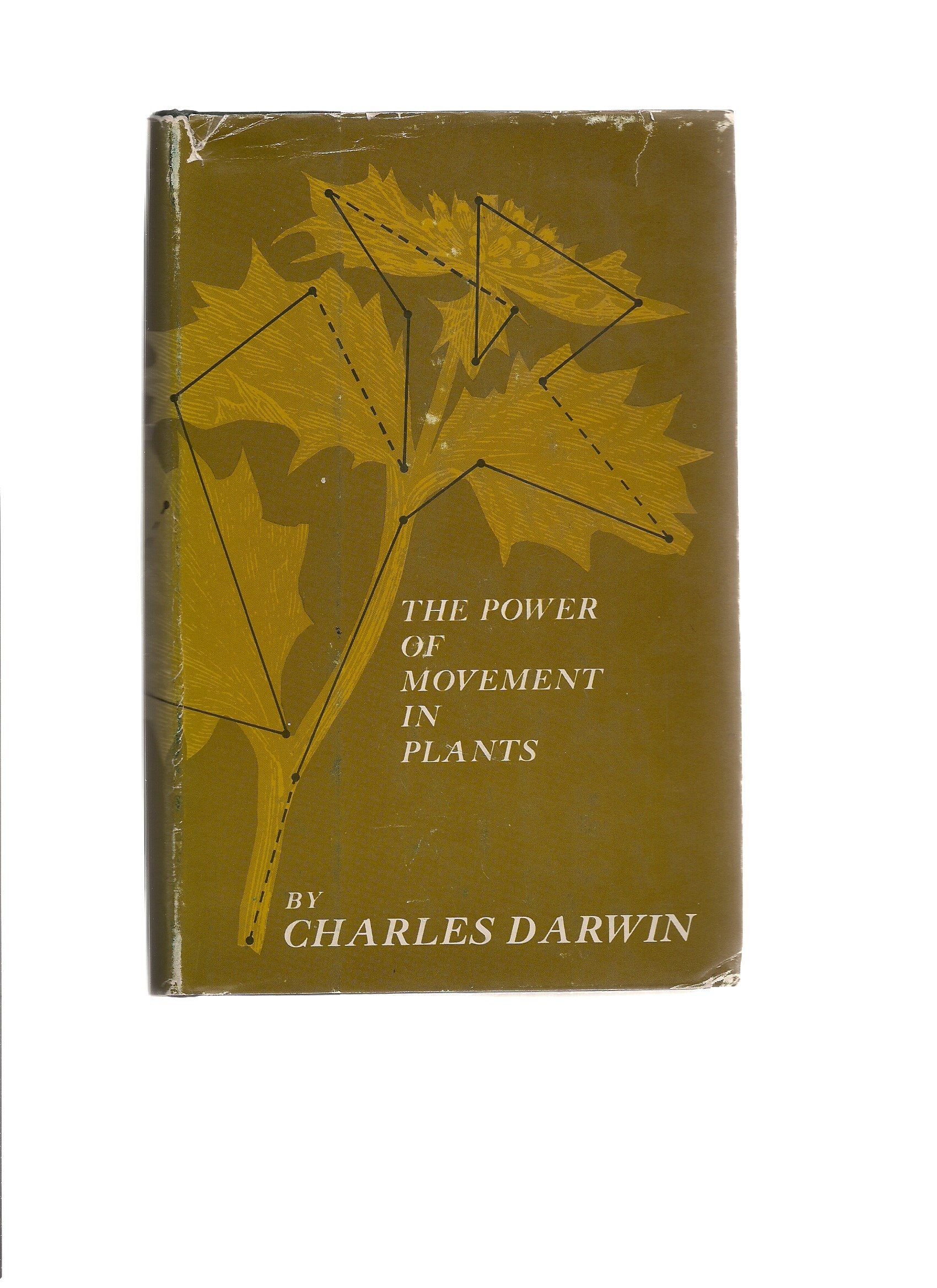 The Power of Movement in Plants