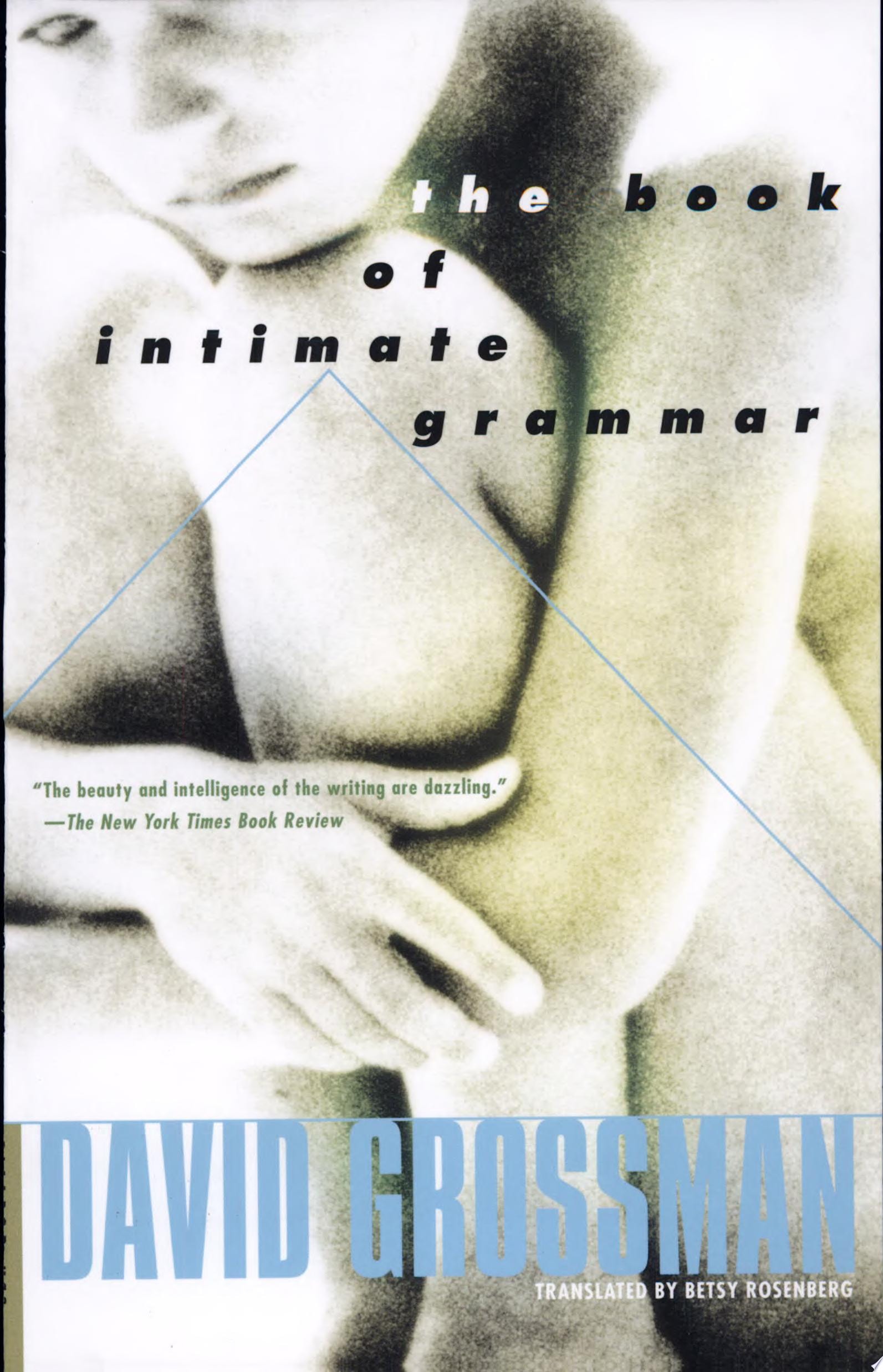 The Book of Intimate Grammar A Novel