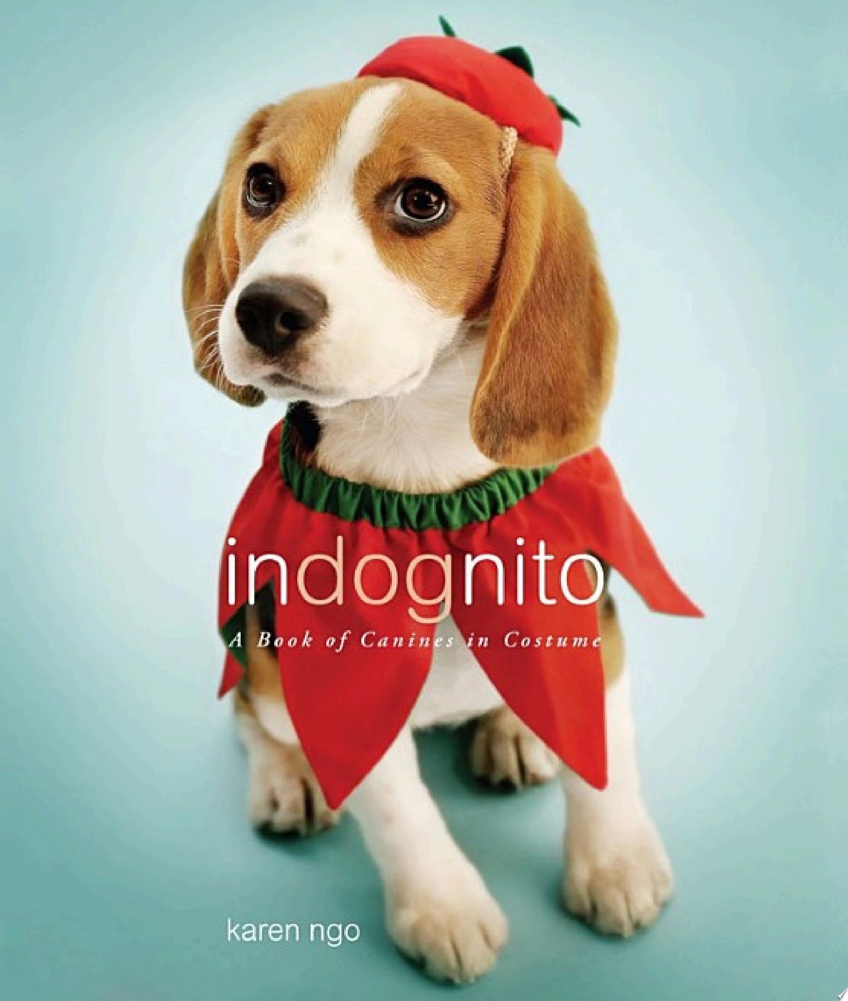 InDognito