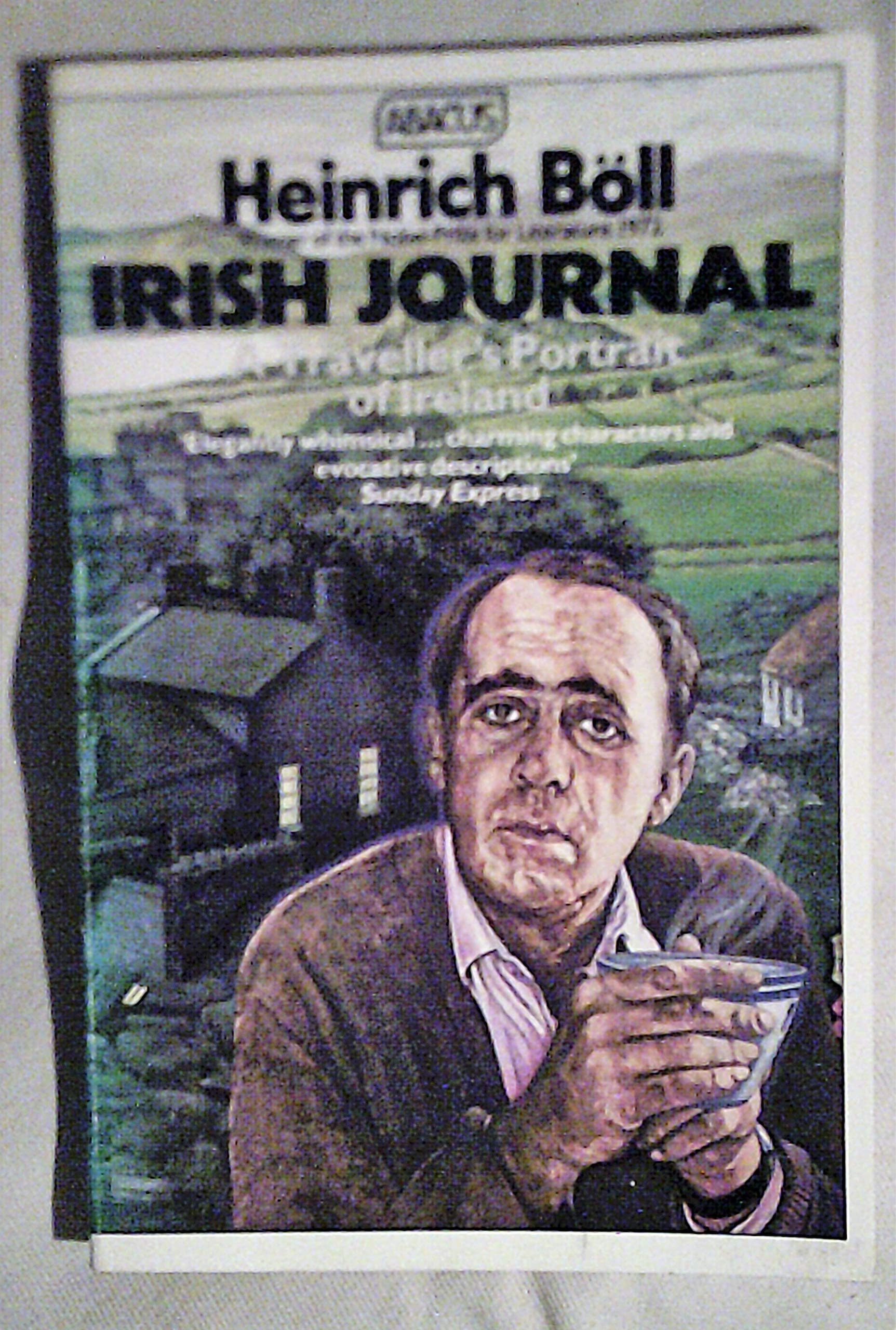 Irish Journal A Traveller's Portrait of Ireland