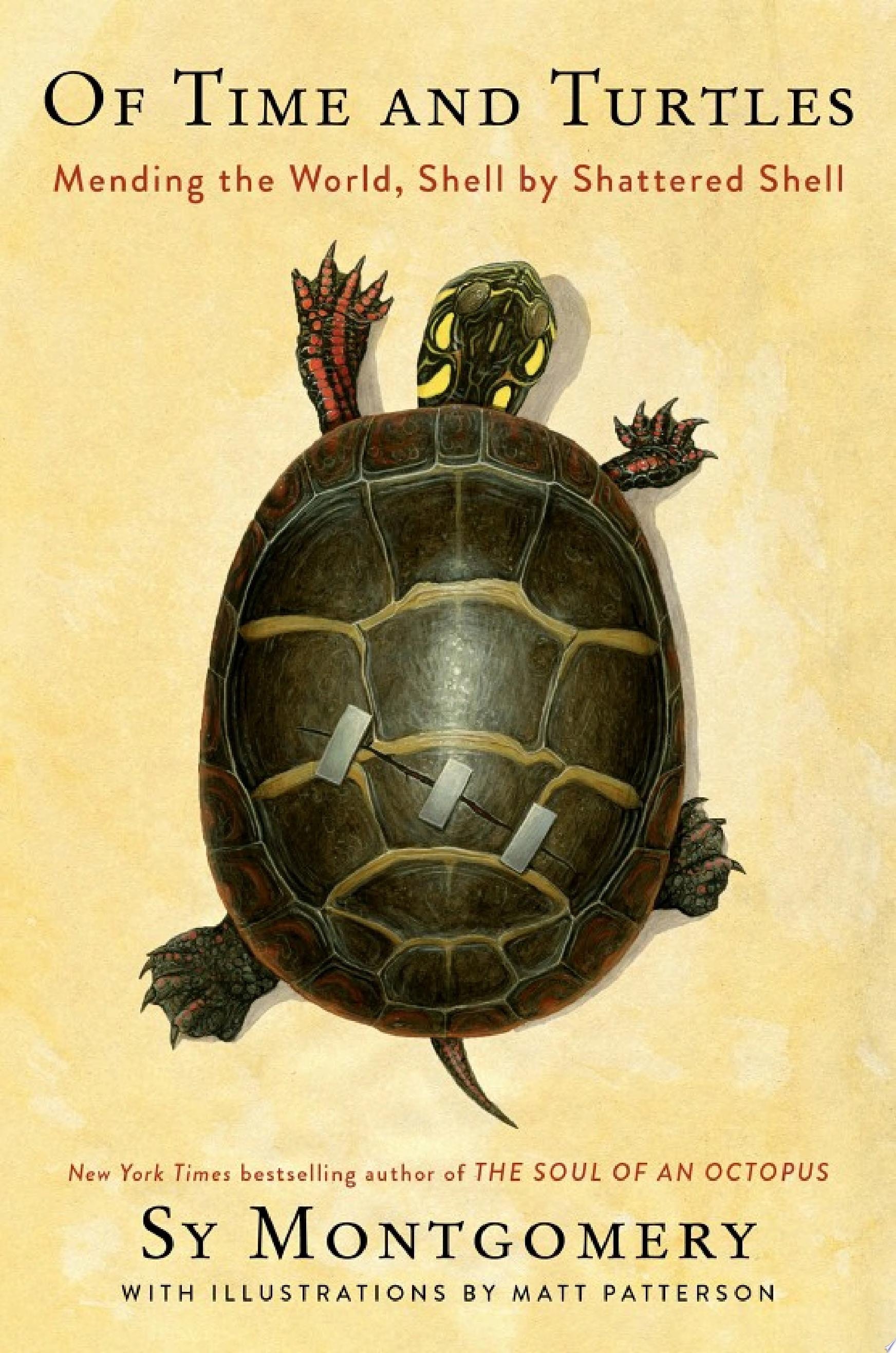 Of Time and Turtles Mending the World, Shell by Shattered Shell