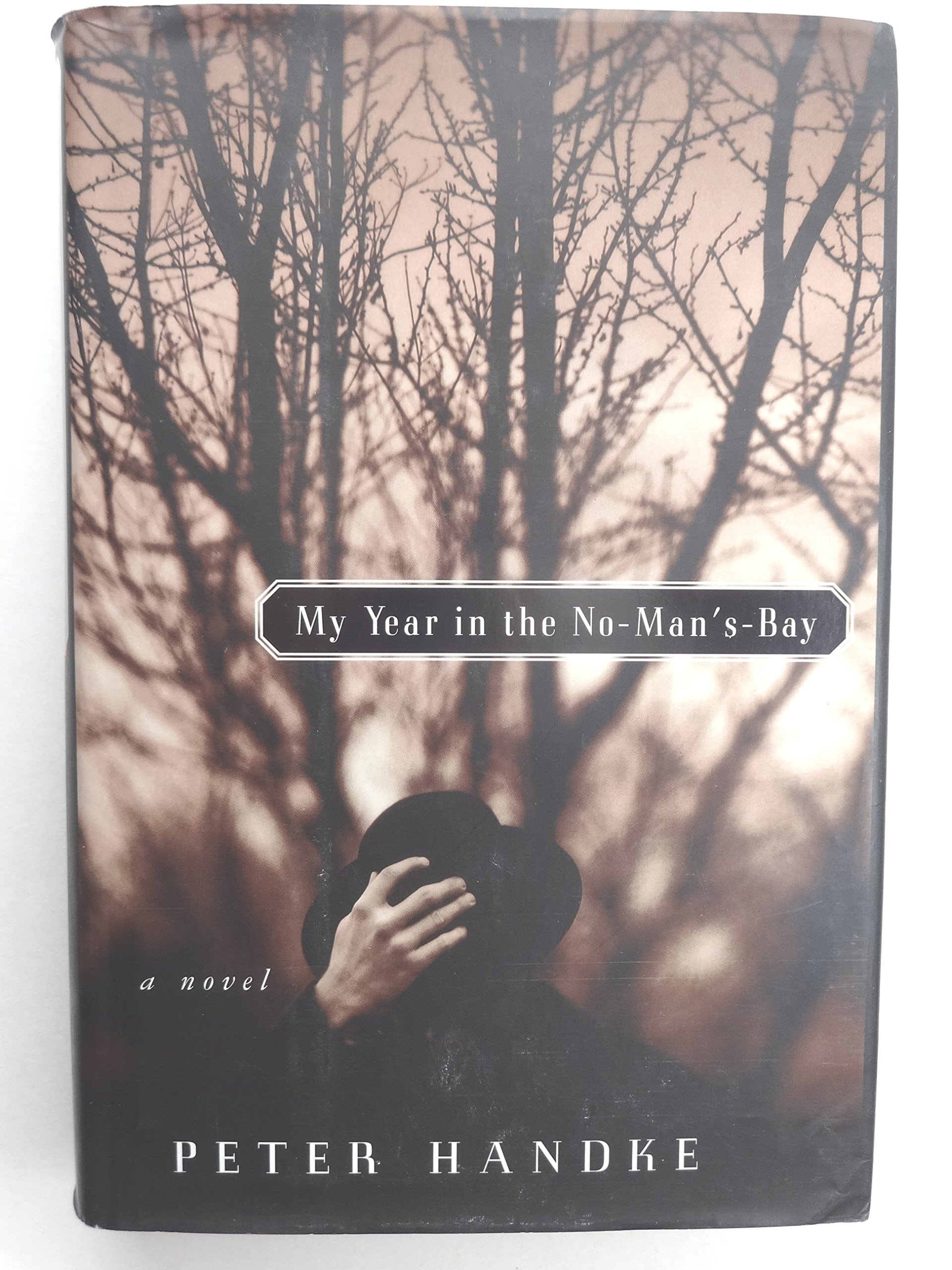 My Year in the No-man's-bay
