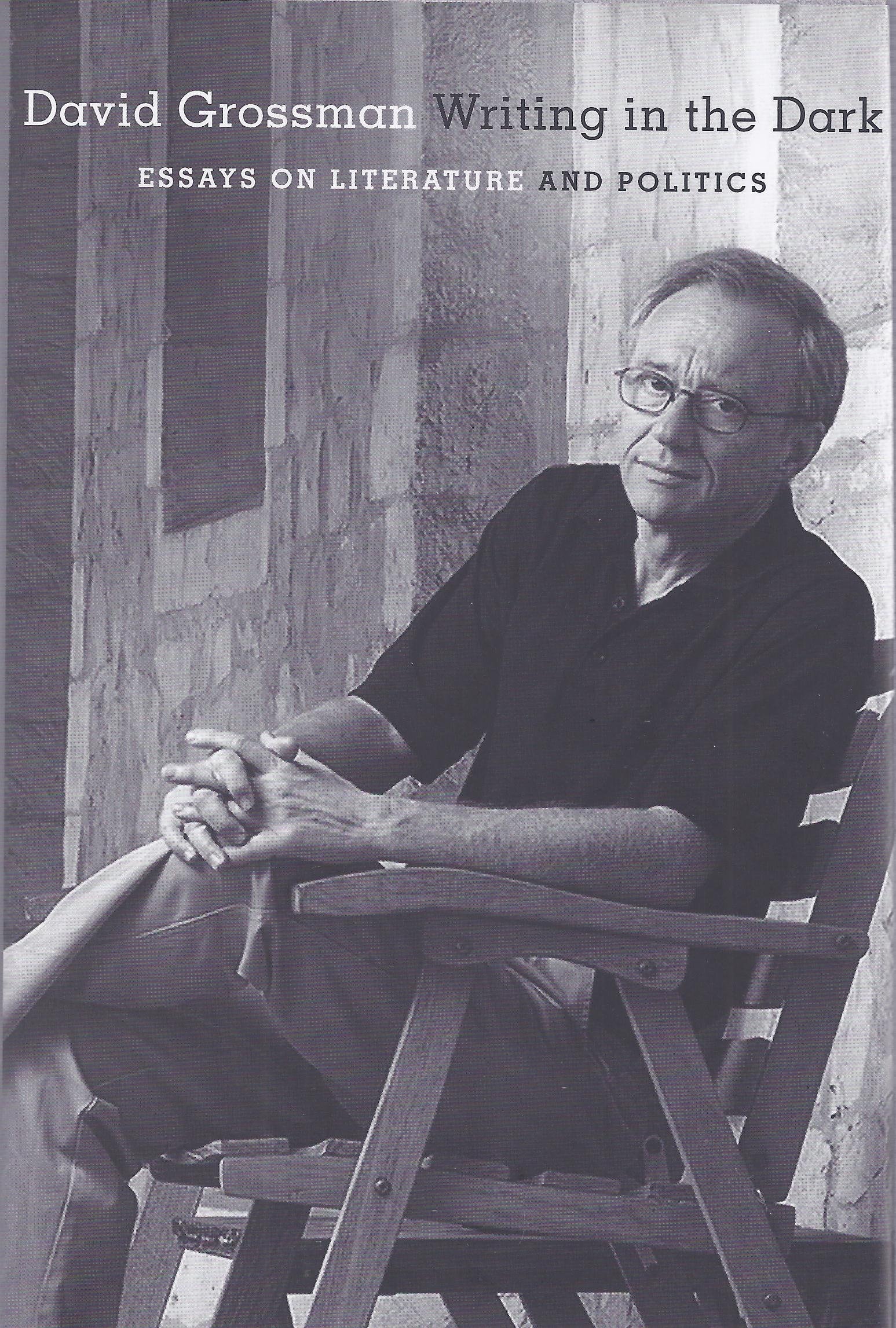 Writing in the Dark Essays on Literature and Politics