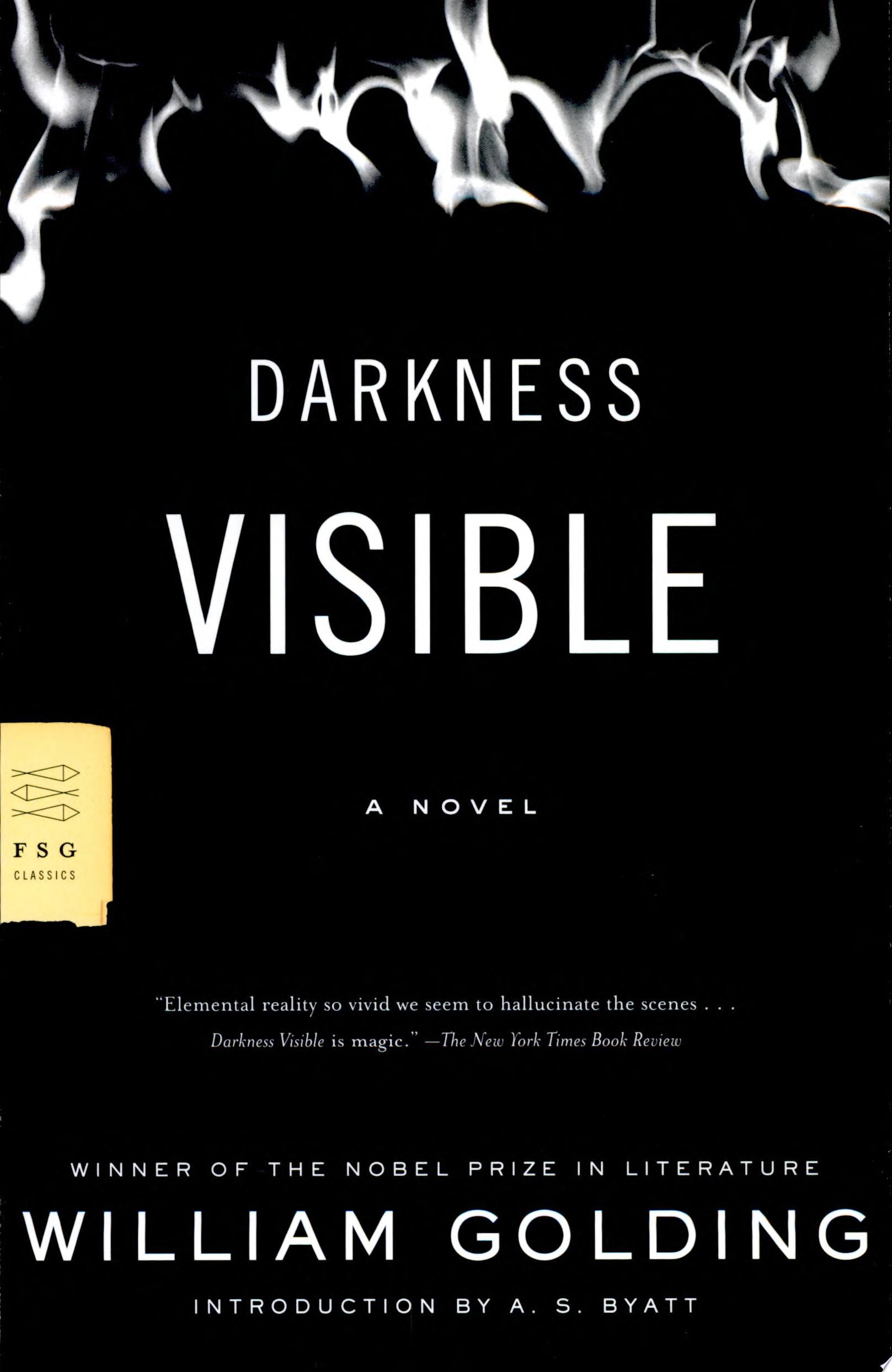 Darkness Visible A Novel