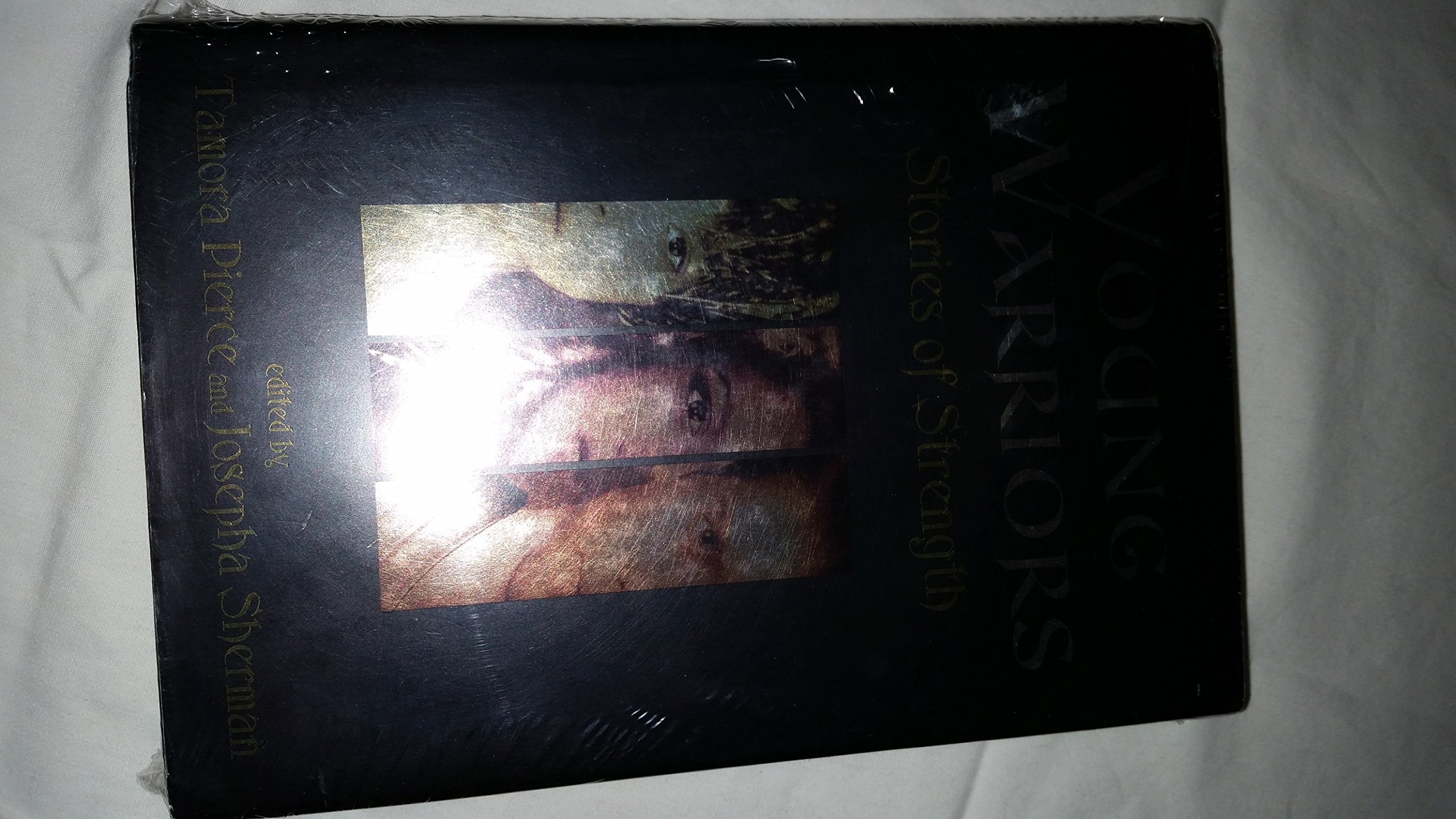 Young Warriors Stories of Strength