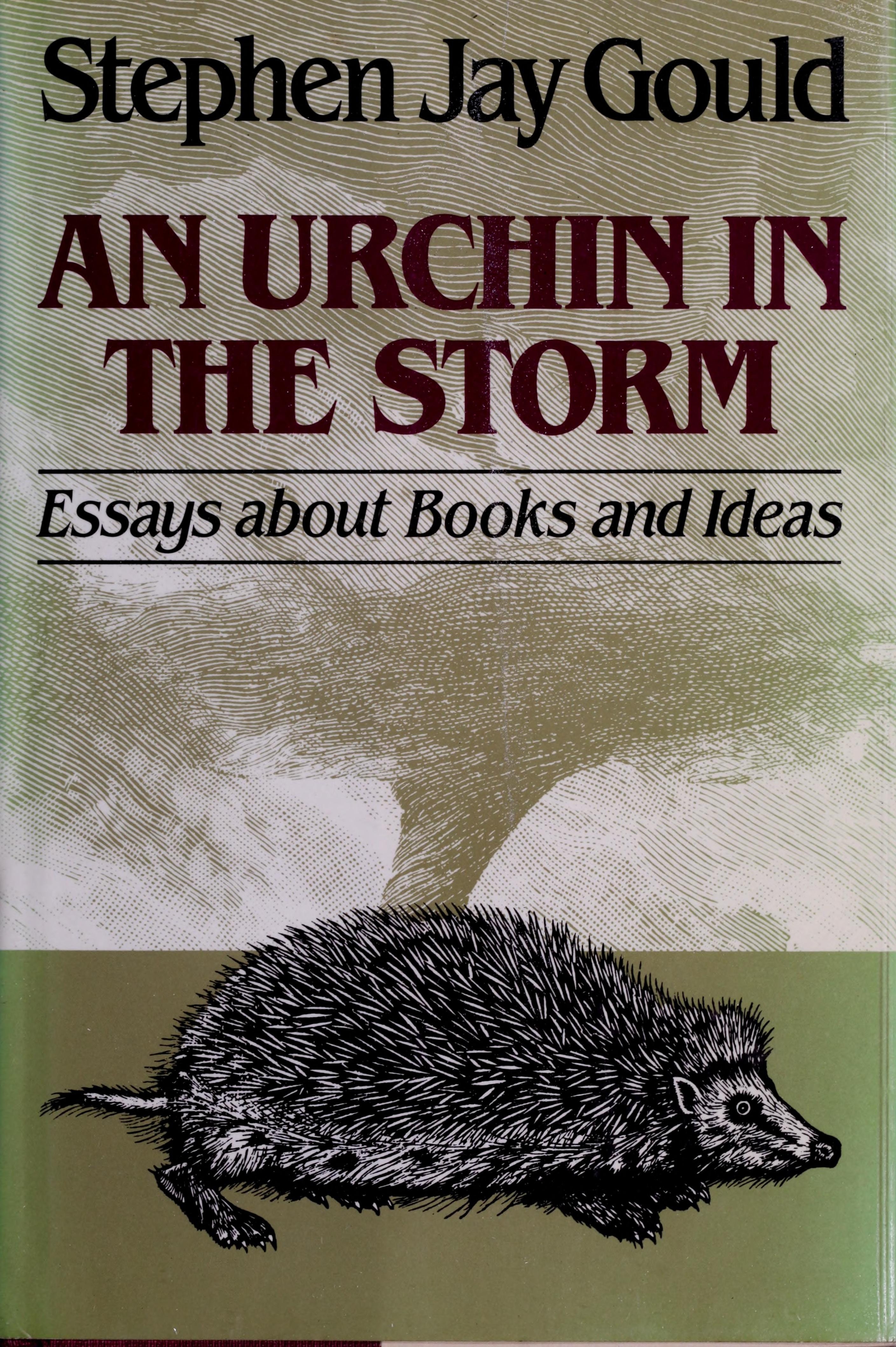 An Urchin in the Storm Essays about Books and Ideas