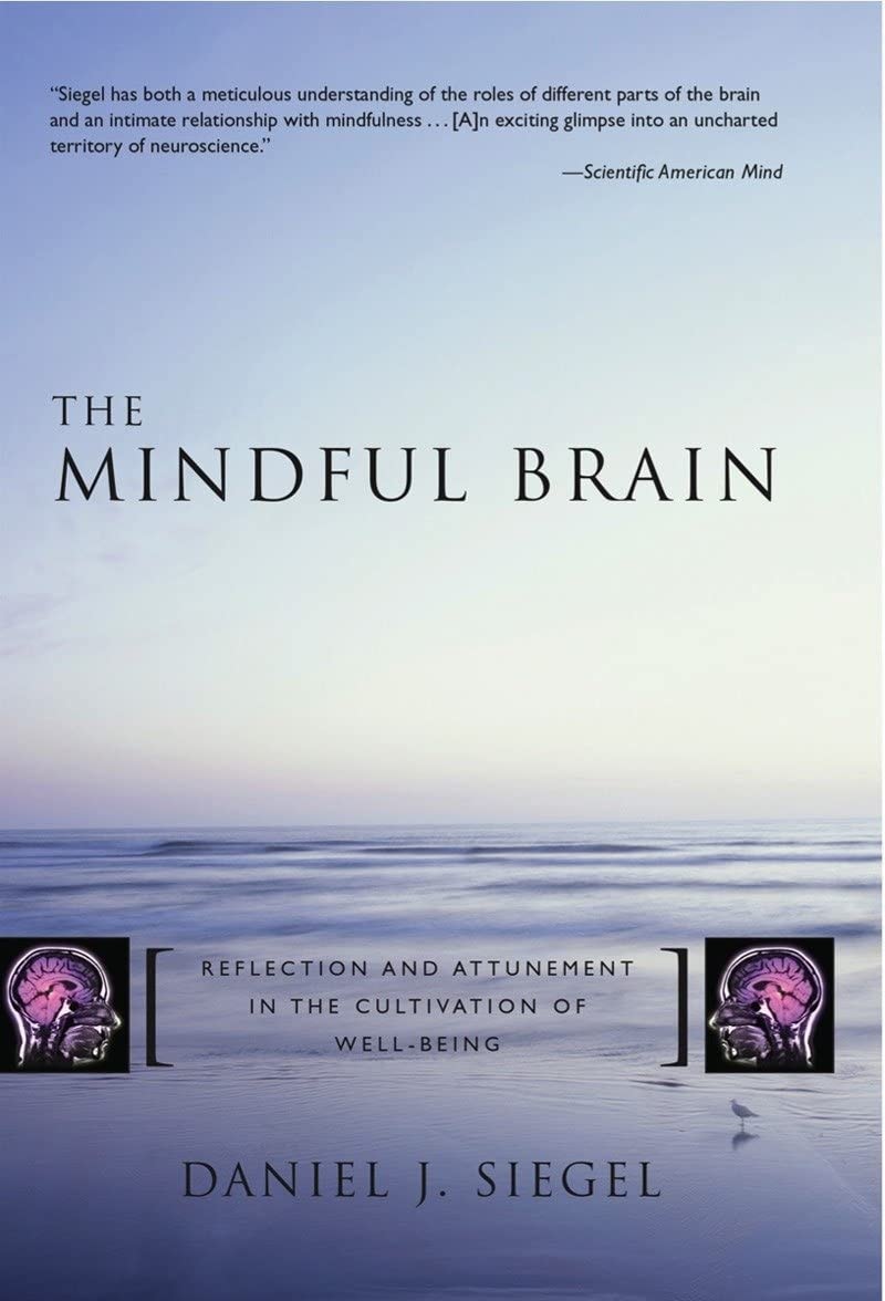 Siegel/mindful Brain Reflection And Attunement In The Cultivation Of Well Being