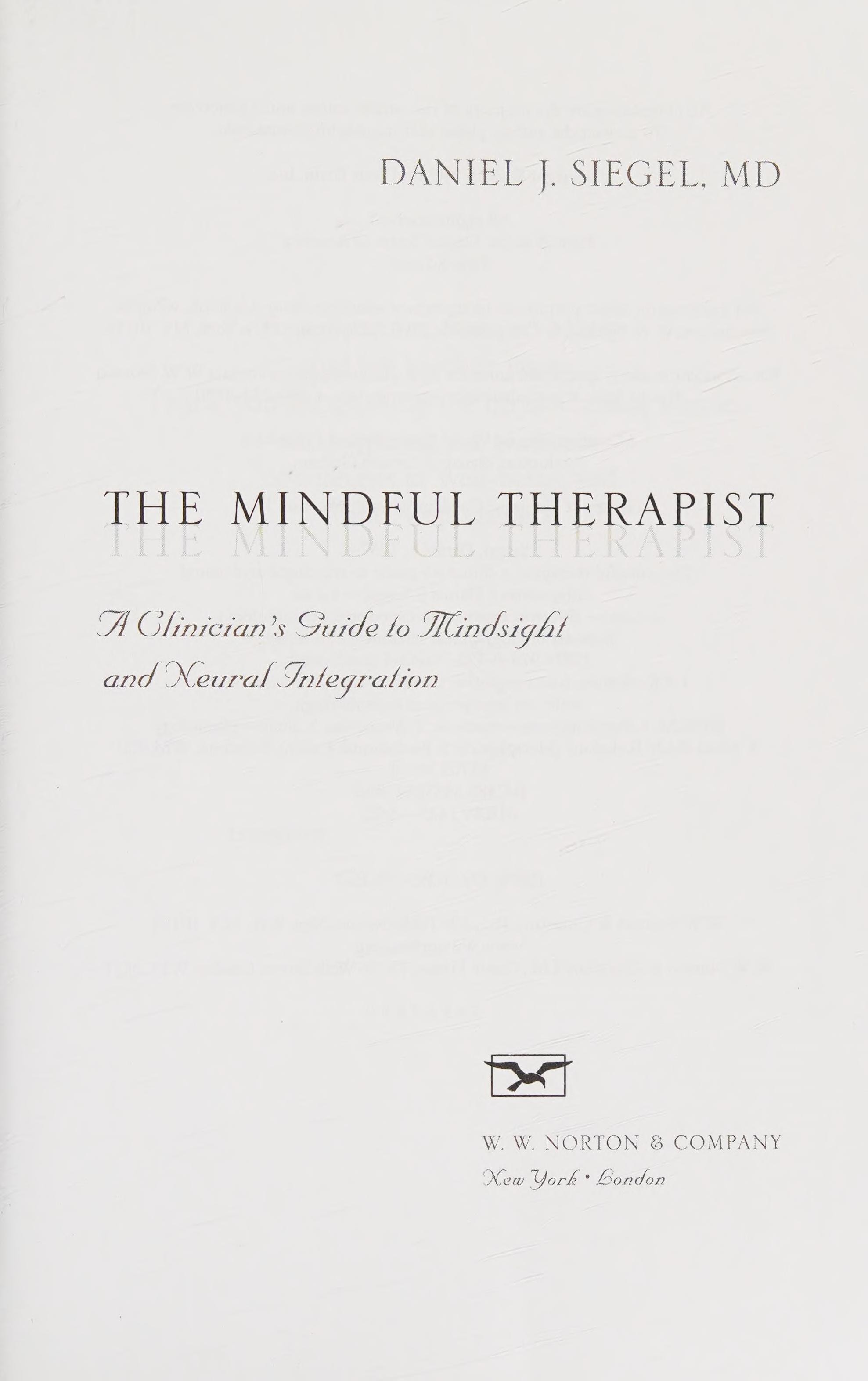The Mindful Therapist A Clinician's Guide To Mindsight And Neural Integration
