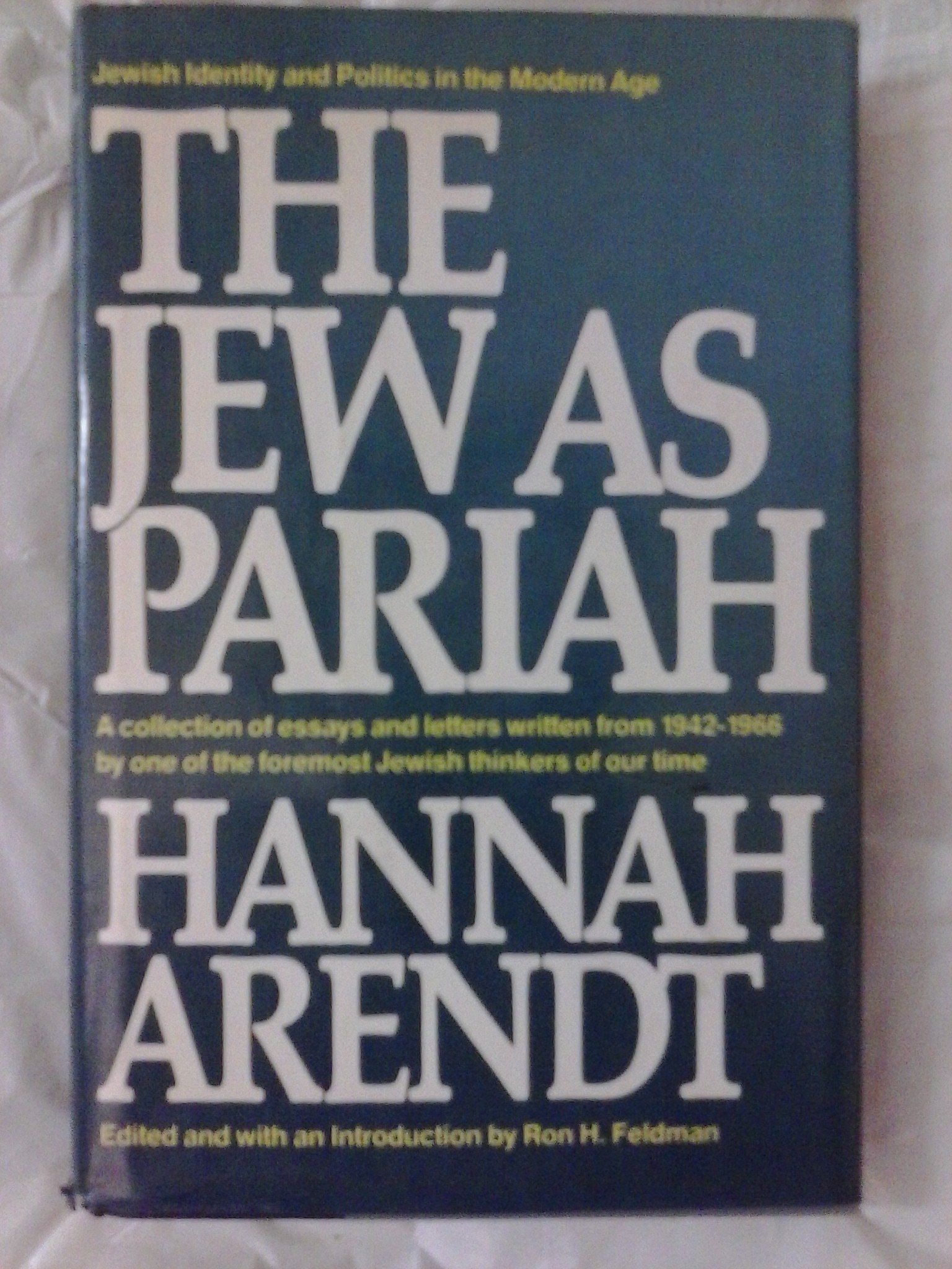 The Jew as Pariah Jewish Identity and Politics in the Modern Age