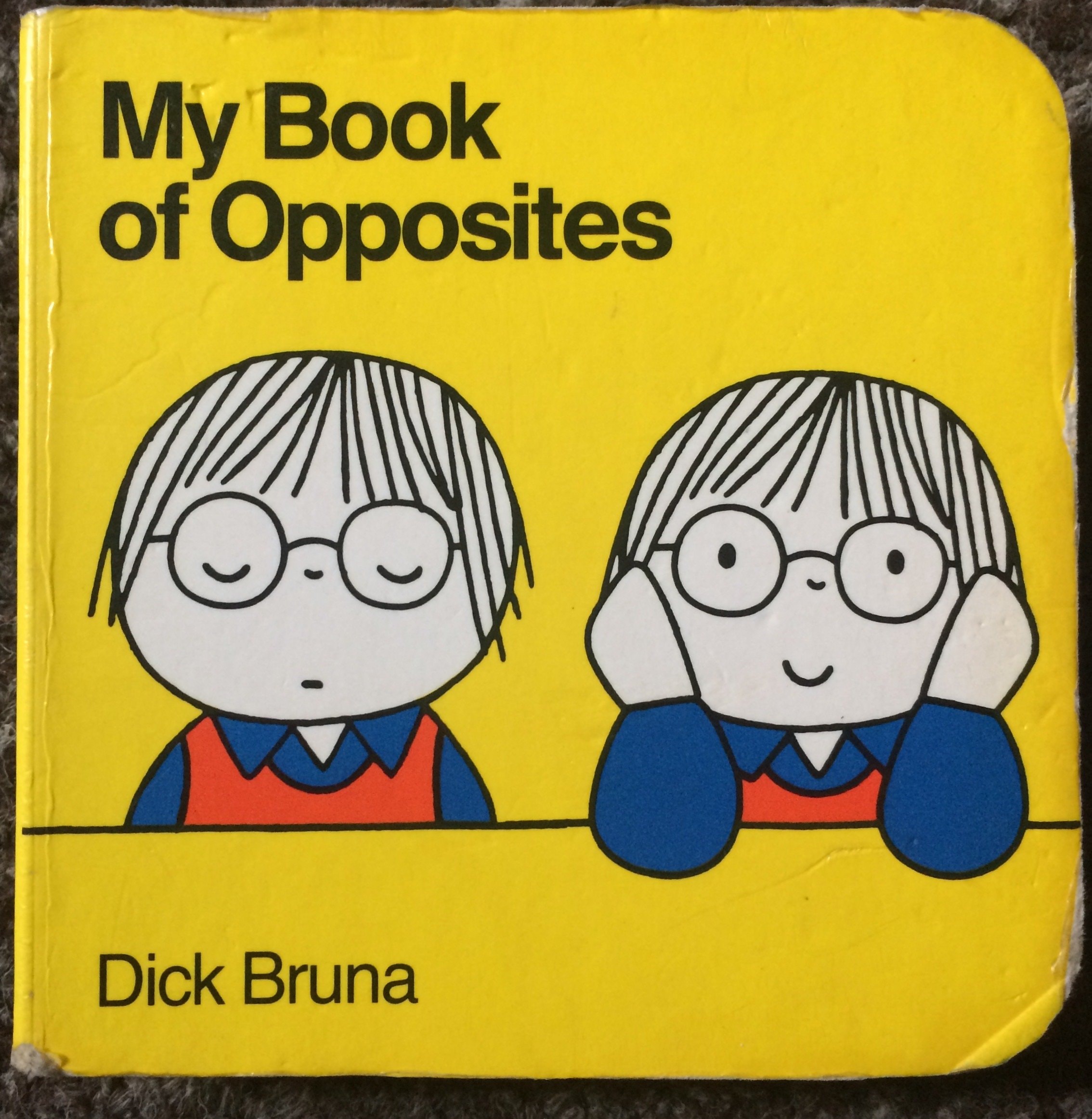 My Book of Opposites