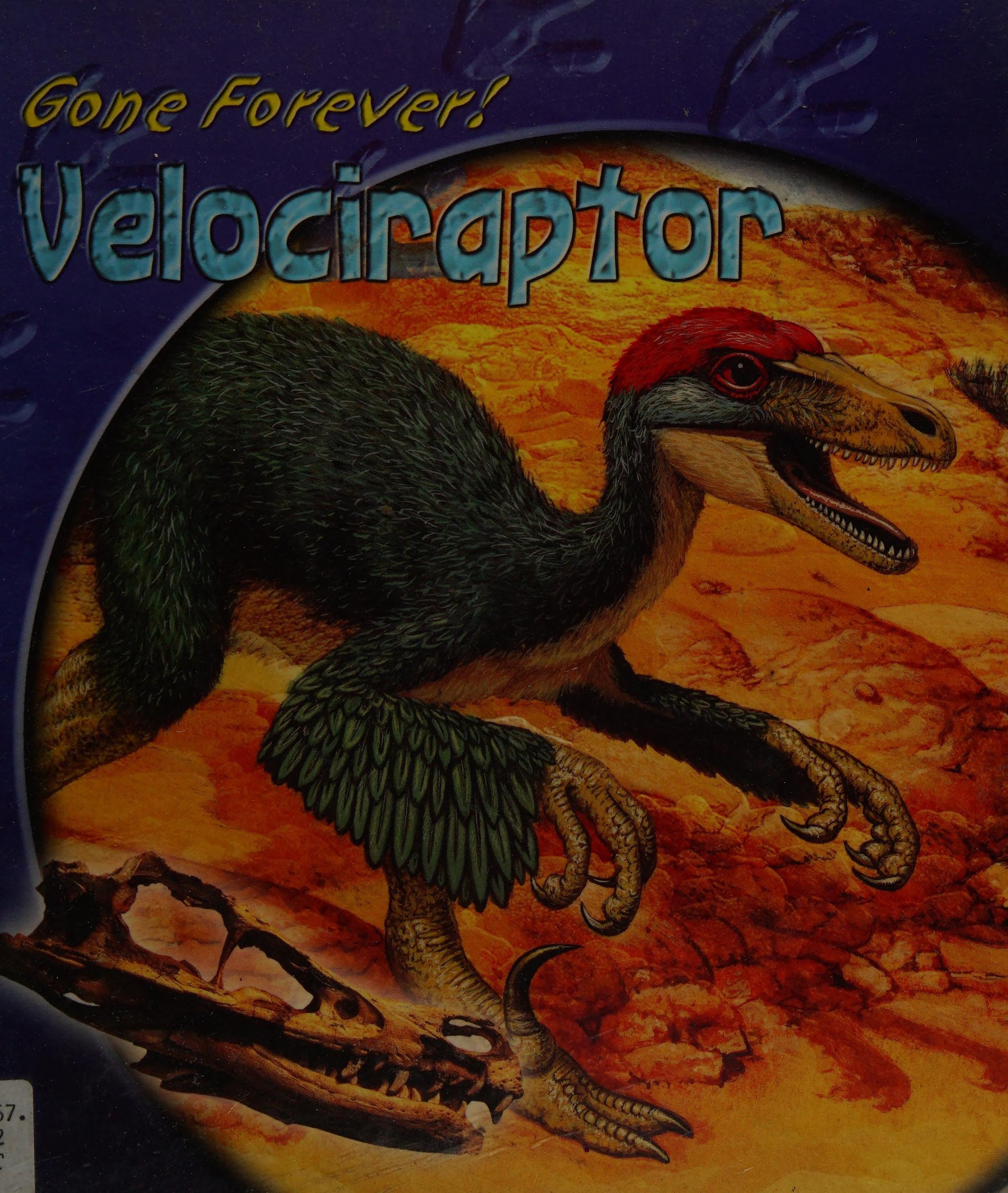 Velociraptor
