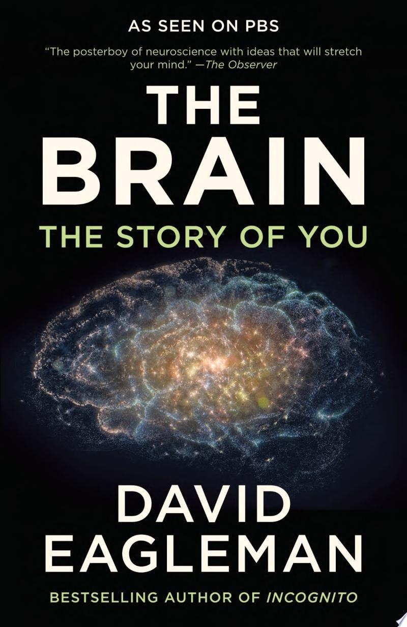 The Brain The Story of You