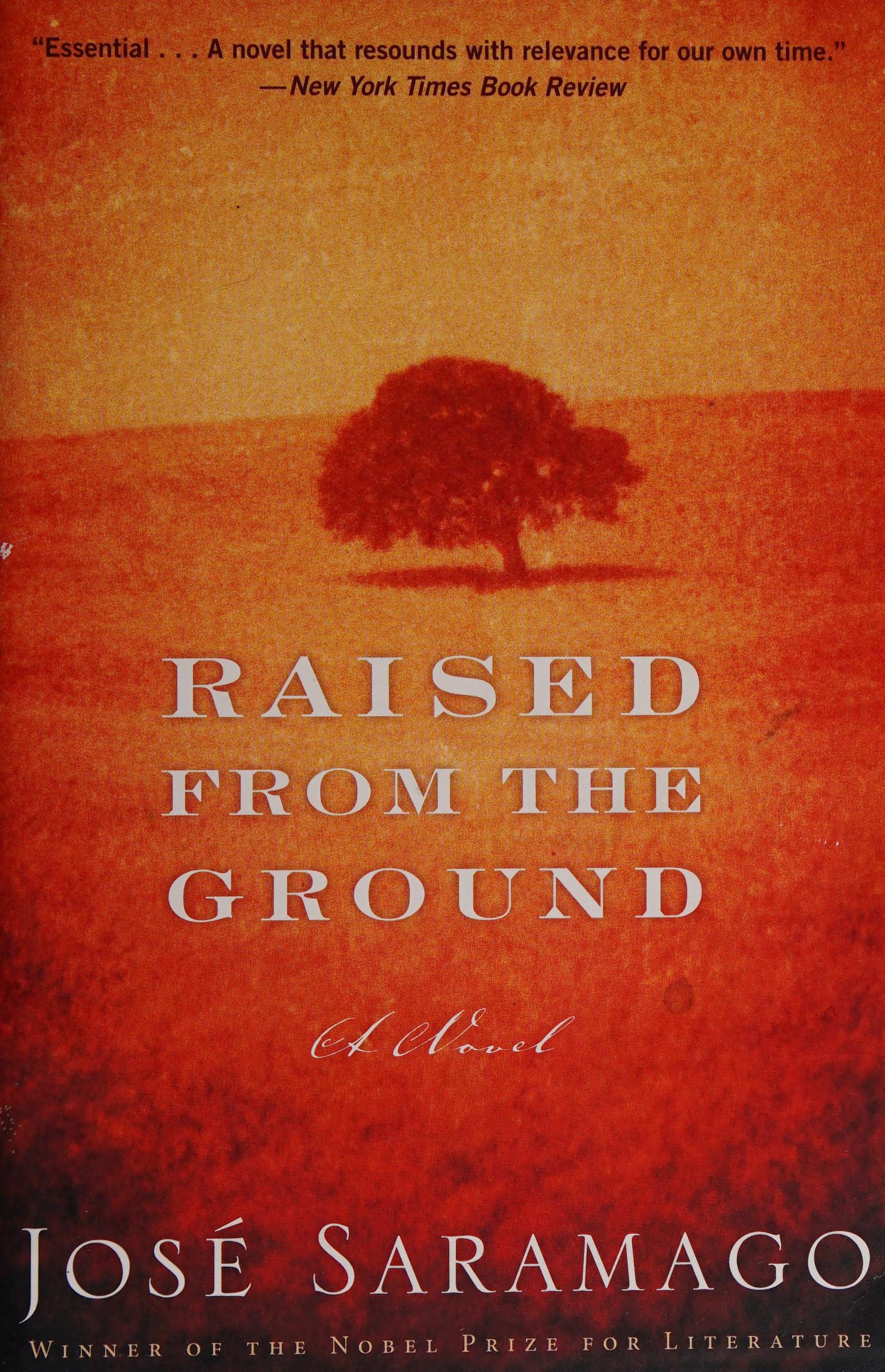 Raised from the Ground