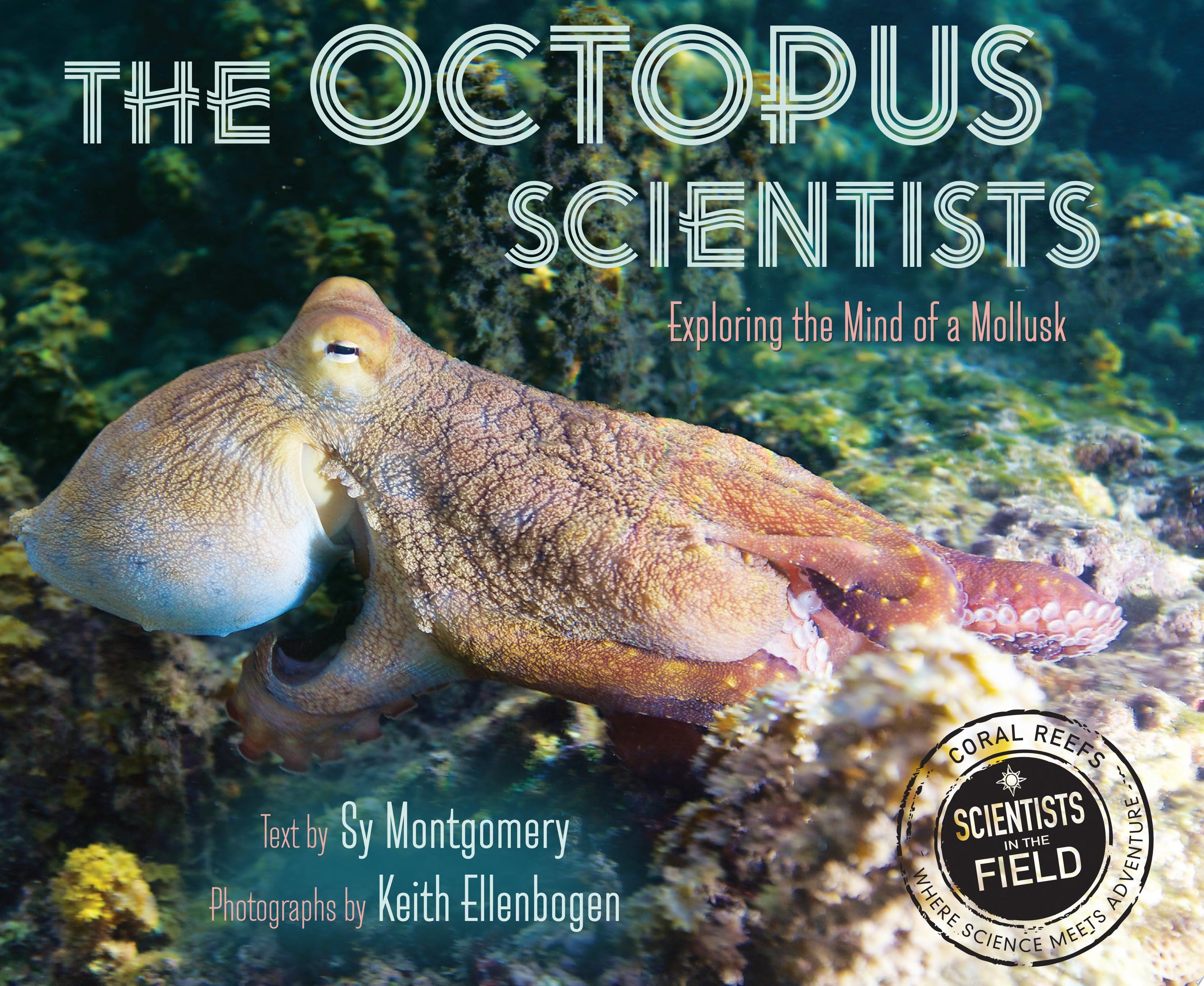 The Octopus Scientists Exploring the Mind of a Mollusk