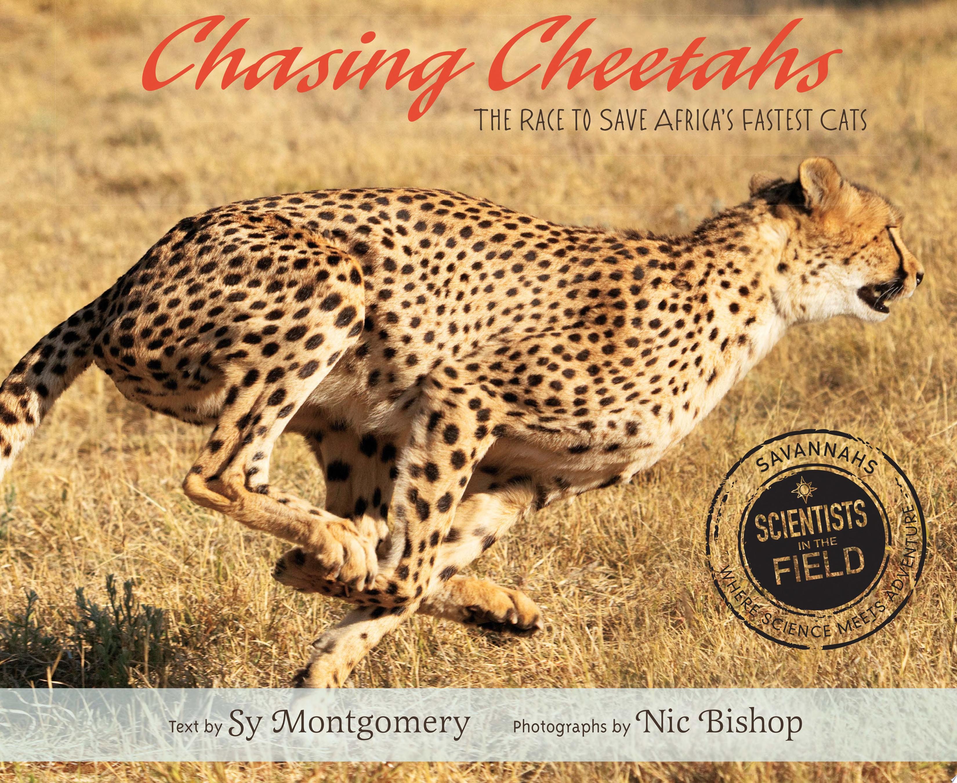 Chasing Cheetahs The Race to Save Africa's Fastest Cats