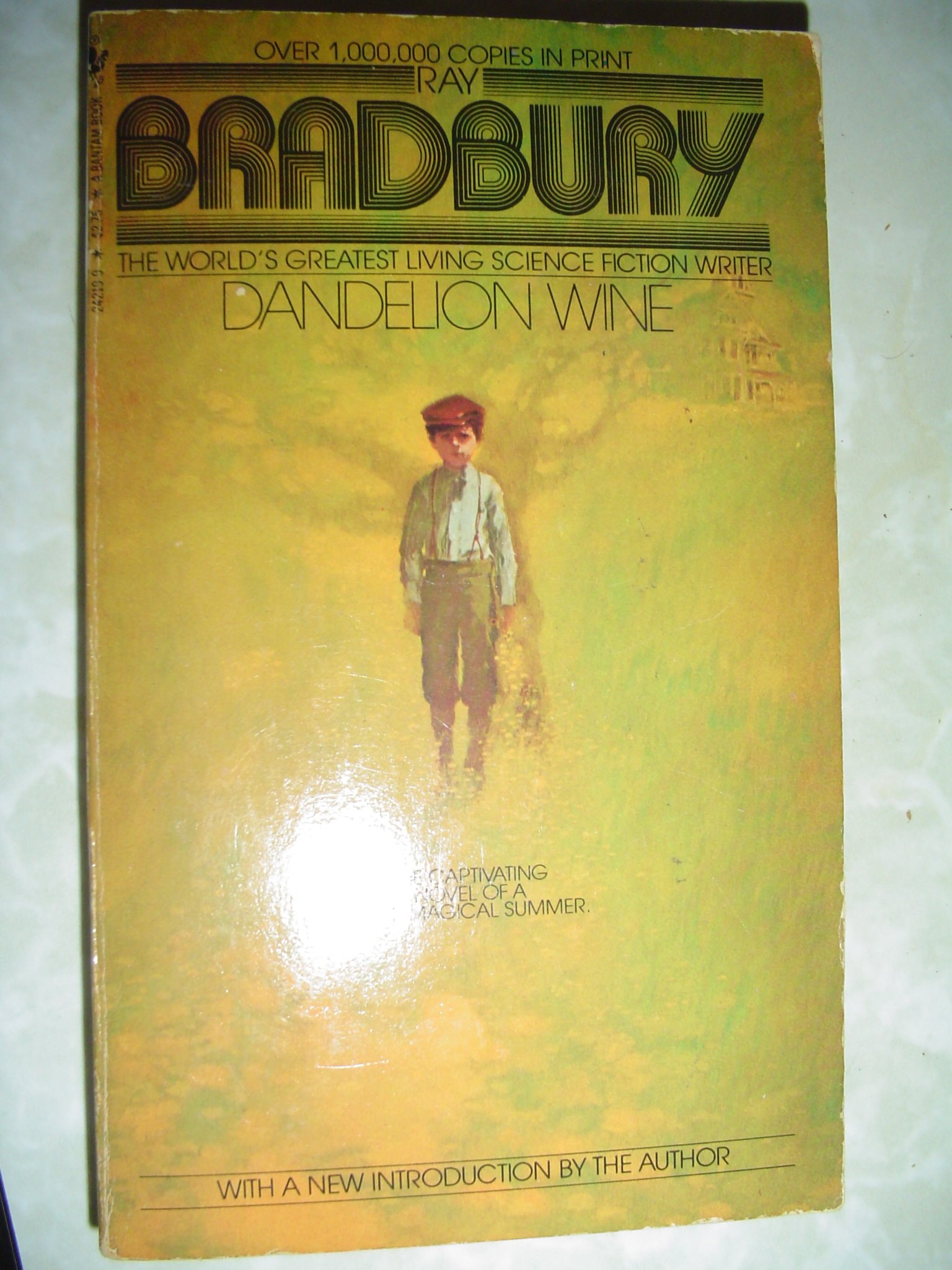 Dandelion Wine A Novel