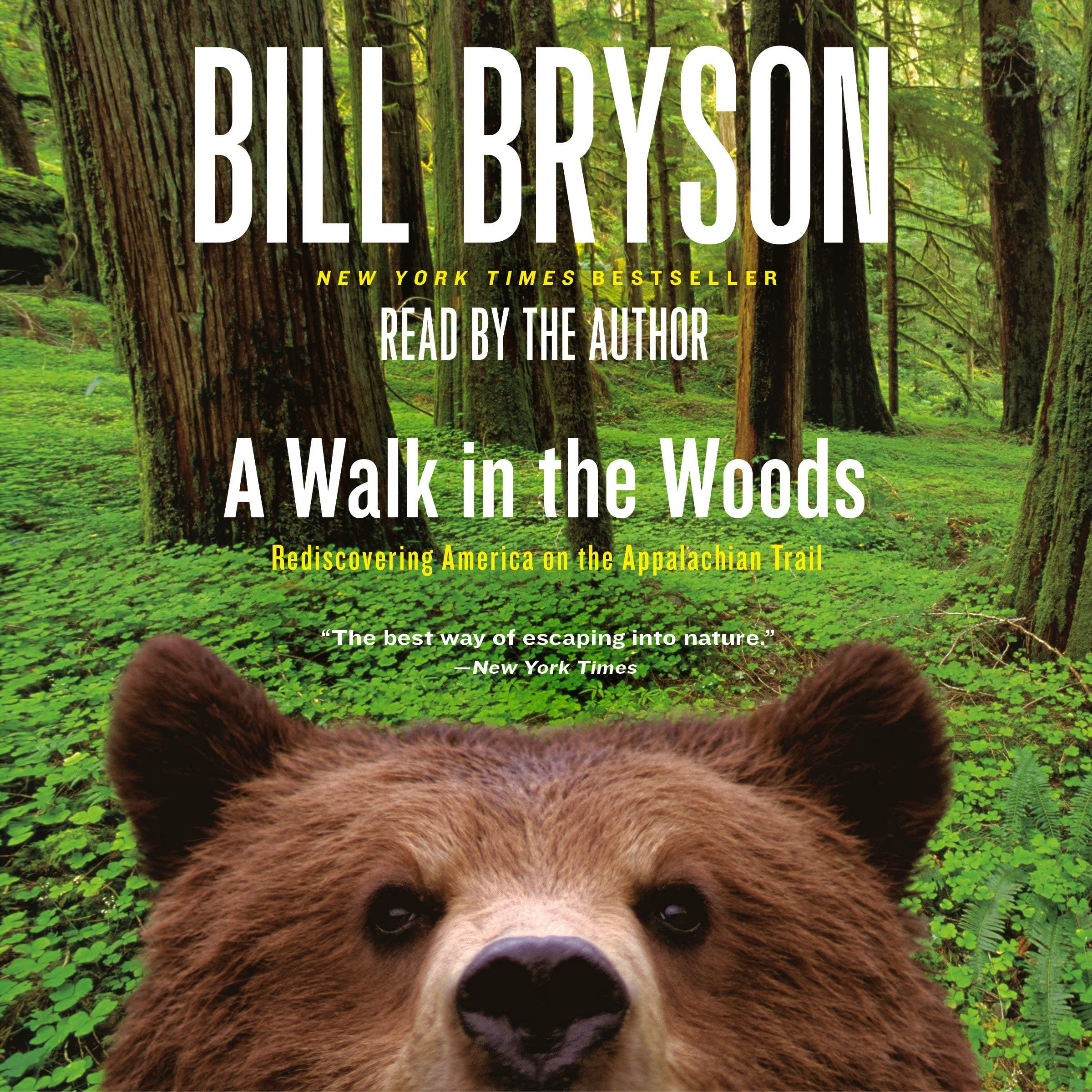 A Walk in the Woods Rediscovering America on the Appalachian Trail