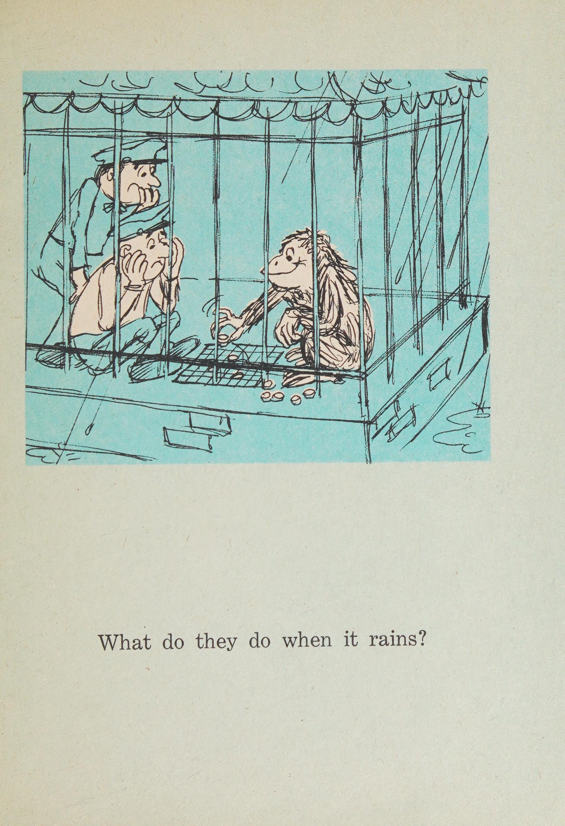 What Do They Do when it Rains?