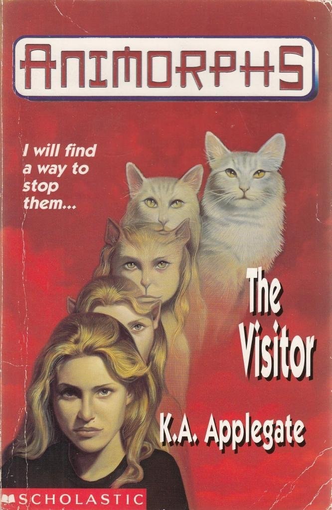 The Visitor