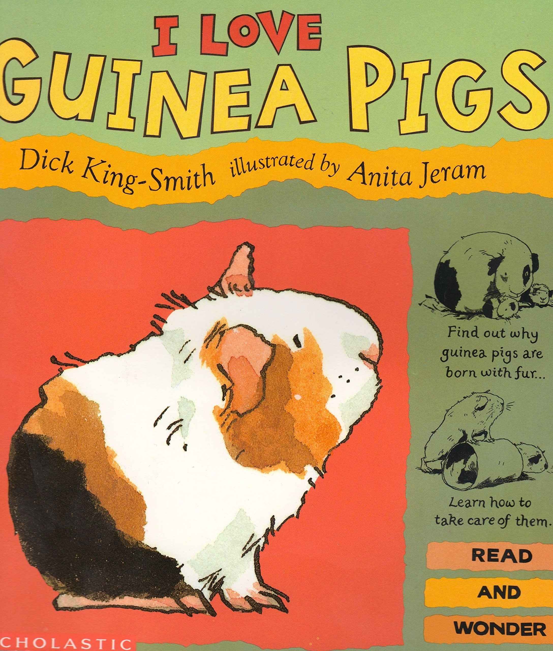 I Love Guinea Pigs