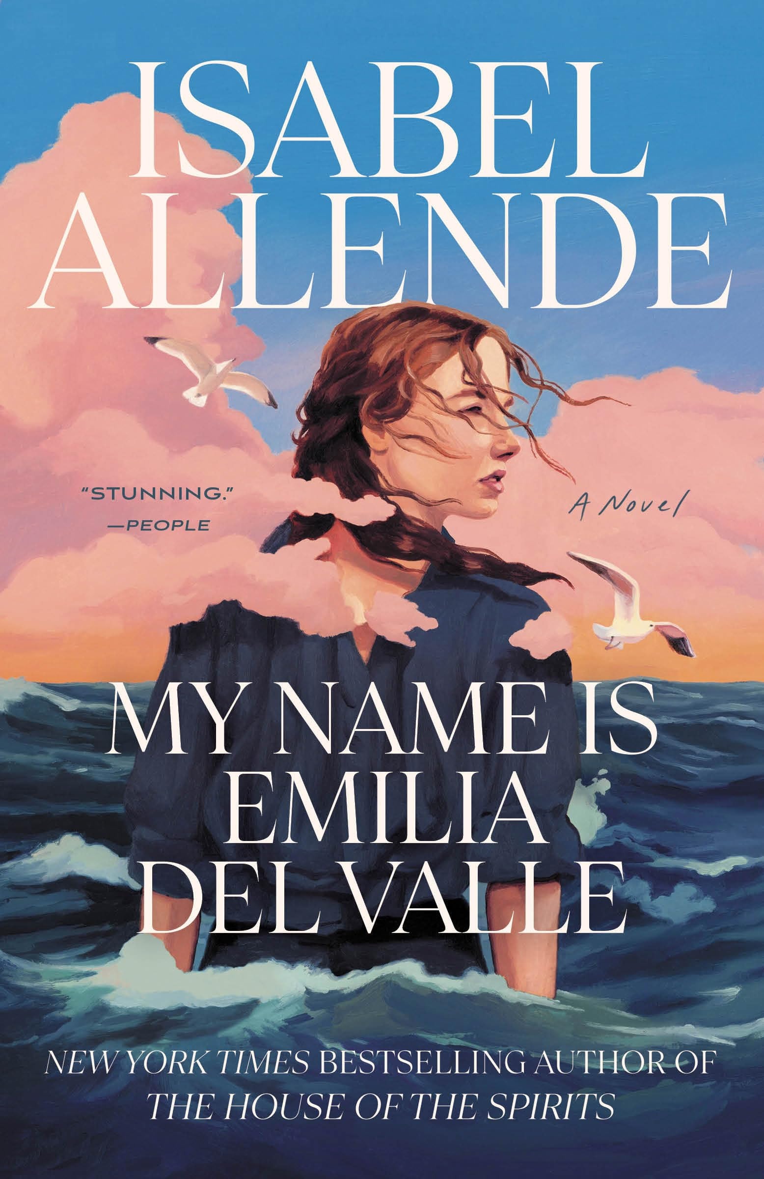 My Name Is Emilia del Valle A Novel