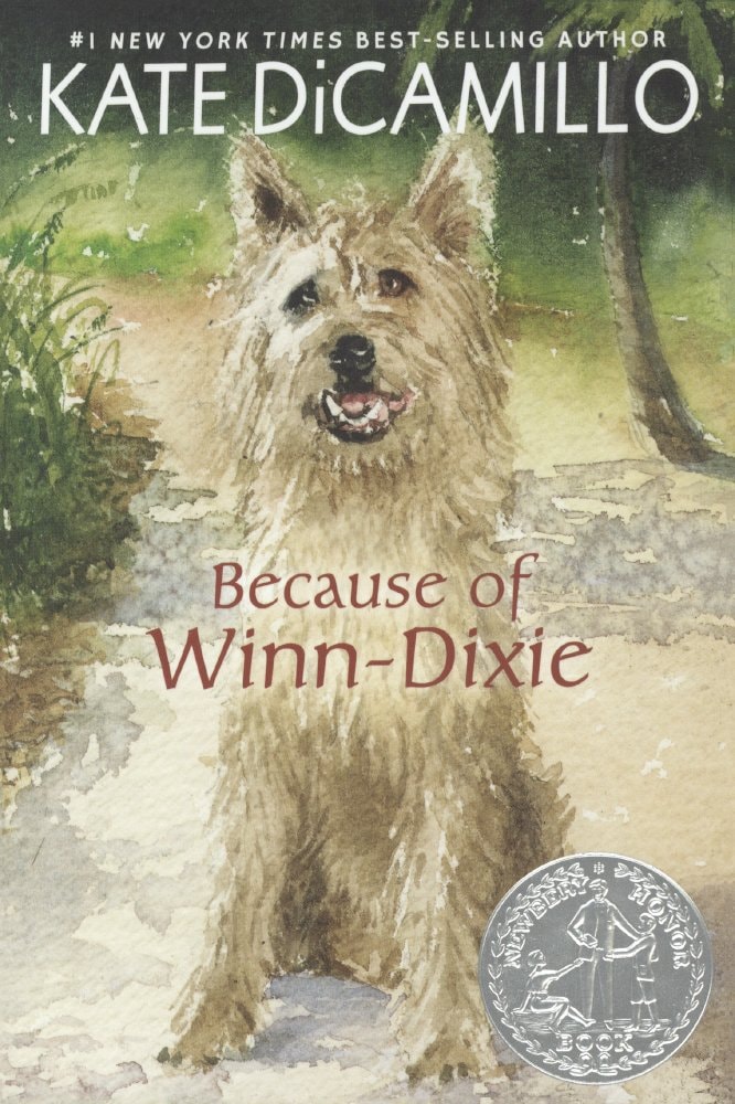 Because of Winn-Dixie