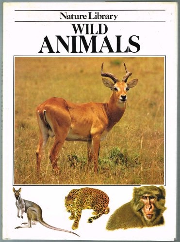 Wild Animals