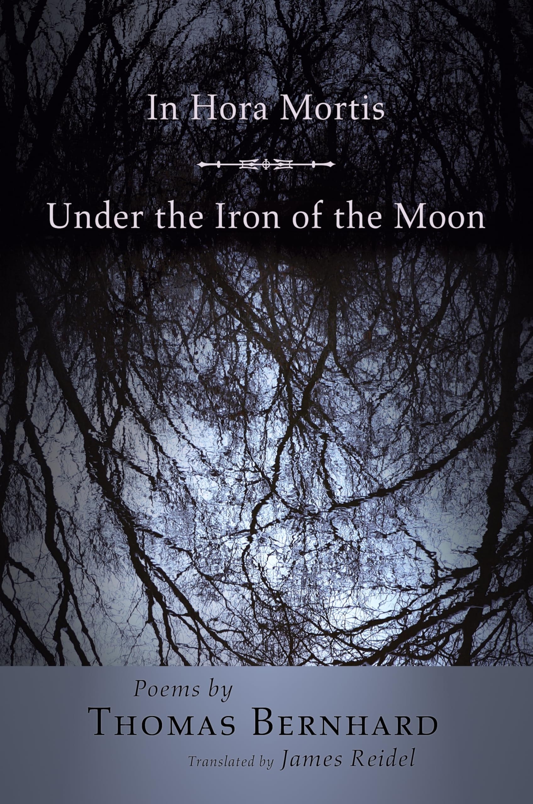 In Hora Mortis Under the Iron of the Moon : Poems