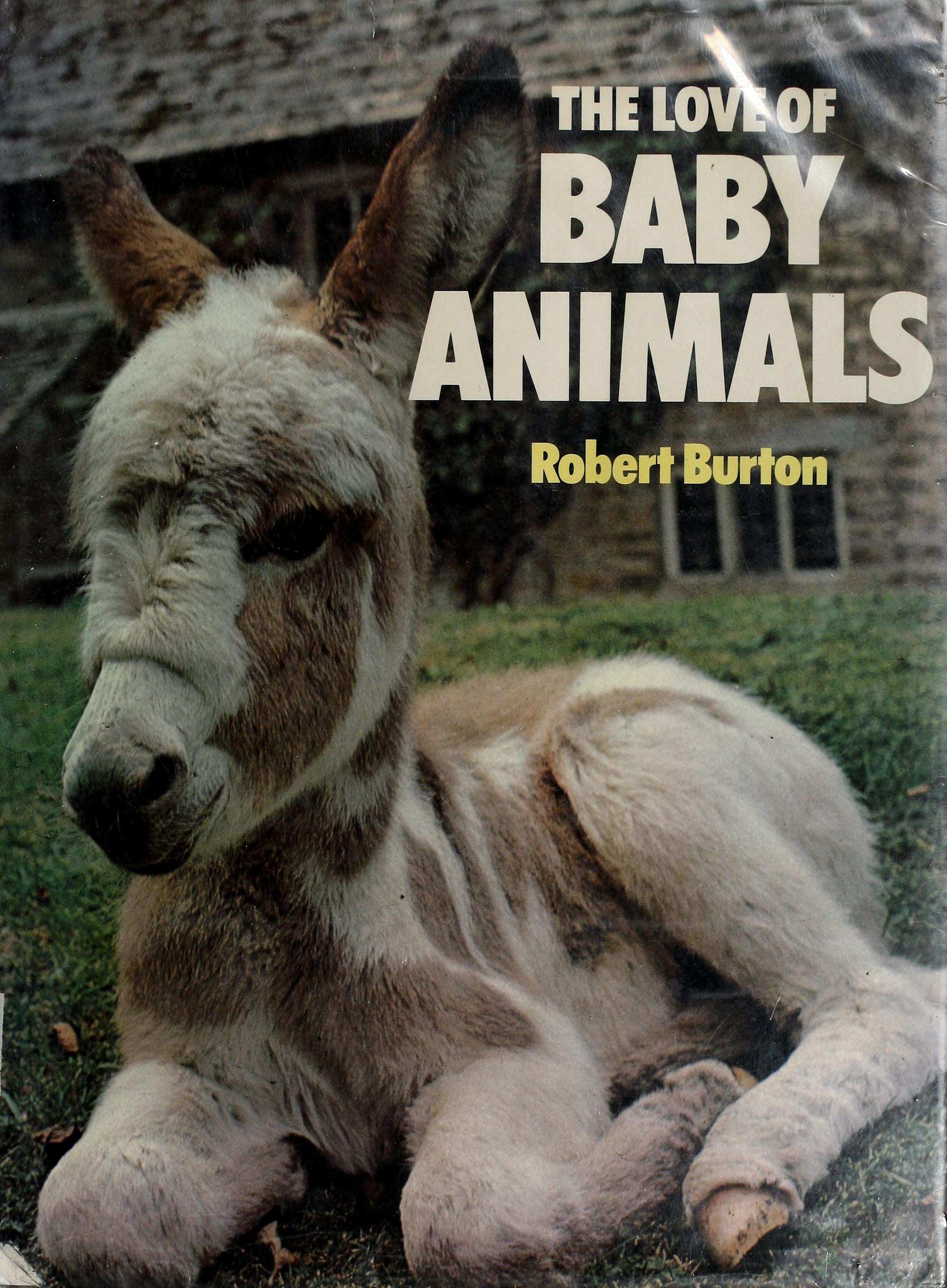 The Love of Baby Animals