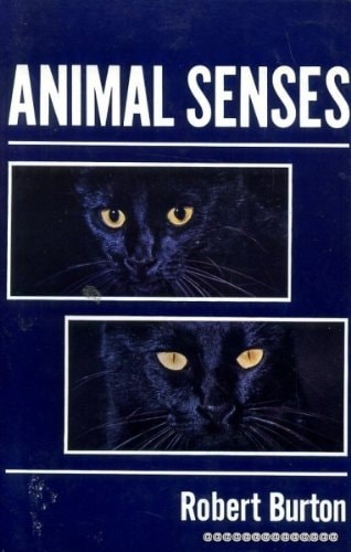 Animal Senses
