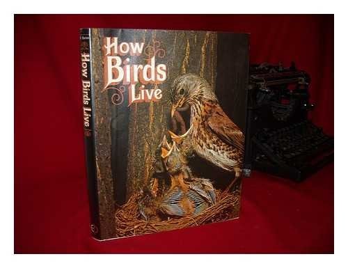 How Birds Live